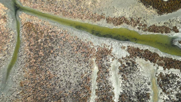 Aerial view of green waterways winding through dry, textured land.