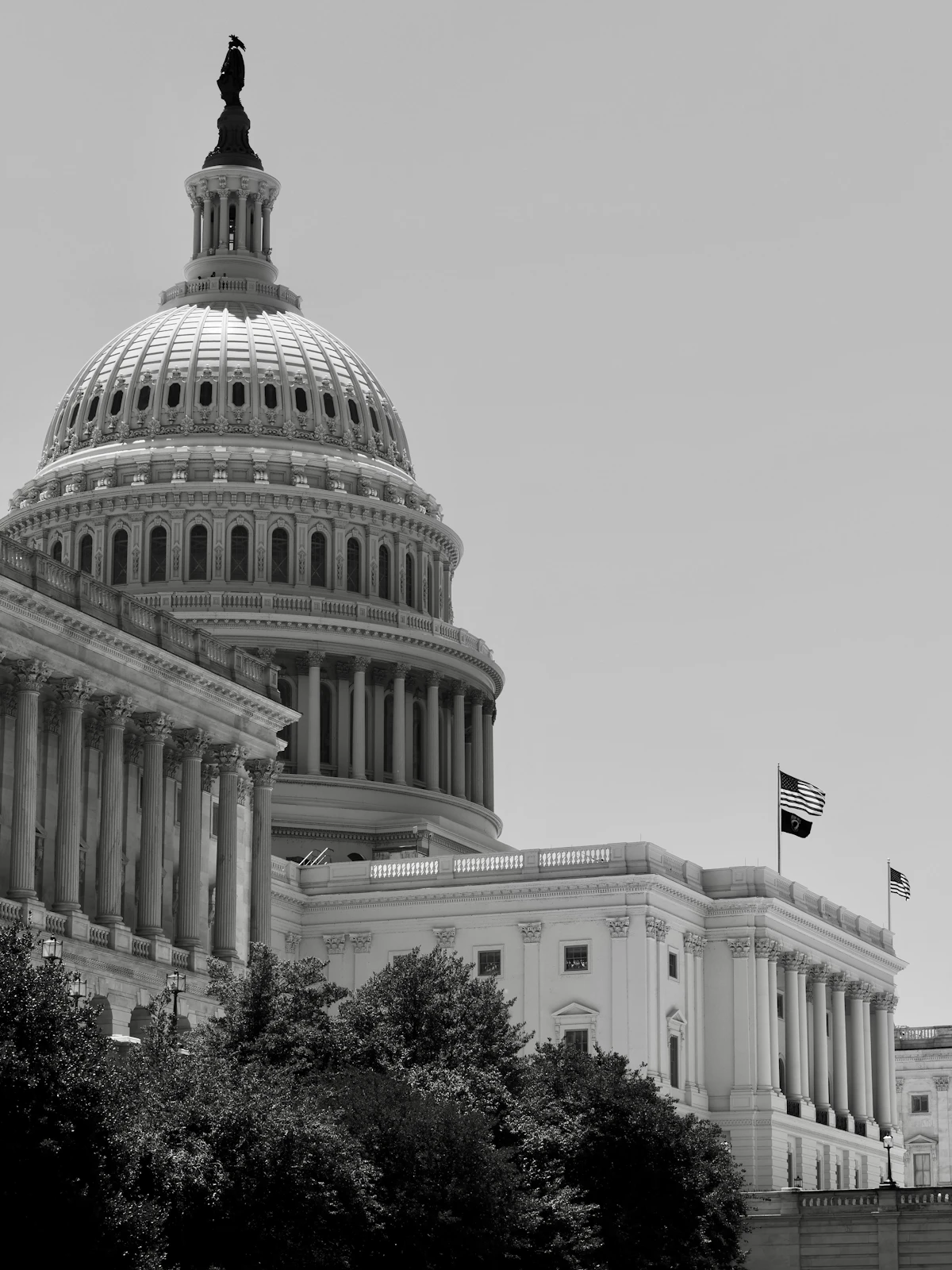 The US Capitol building