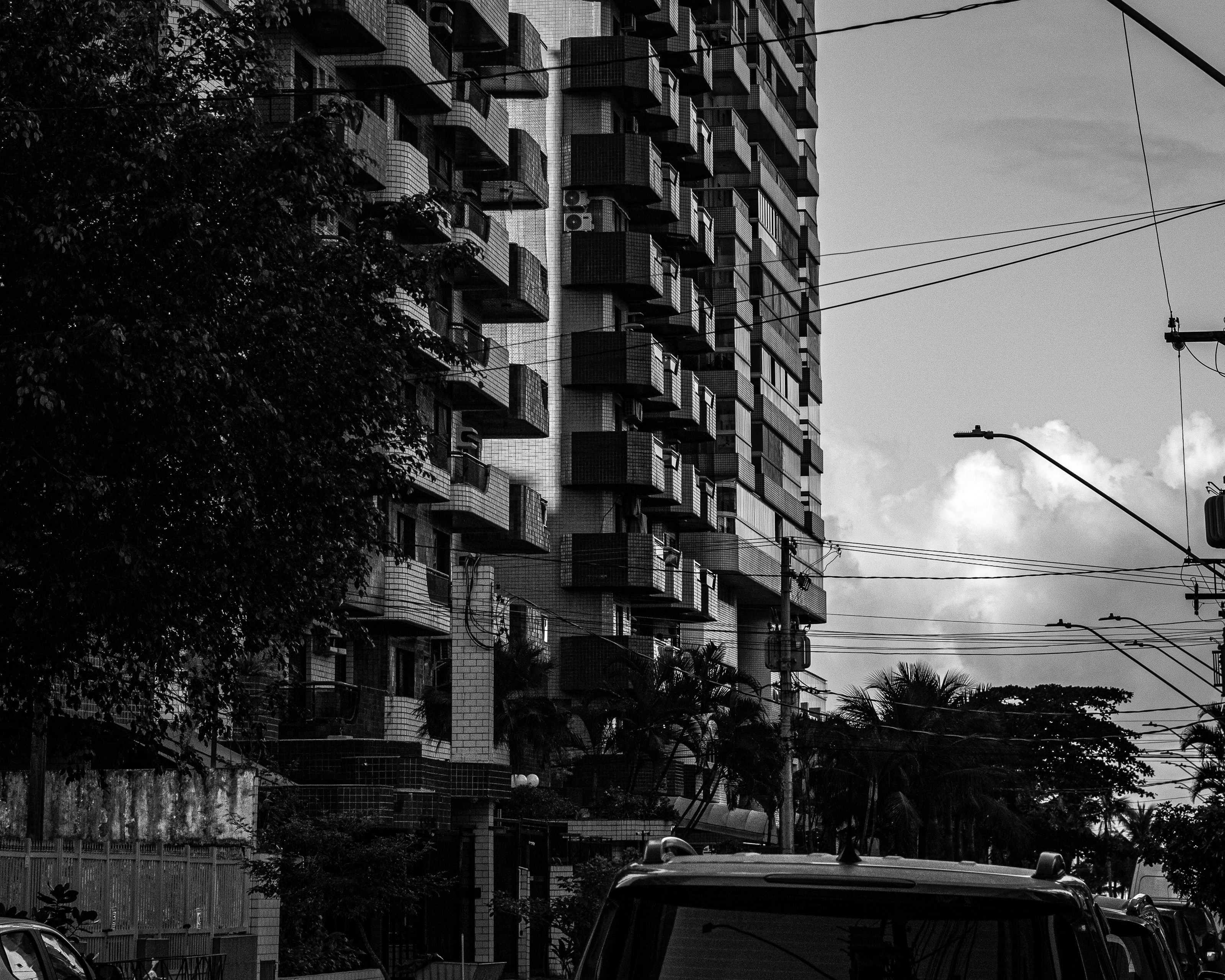 Black and white building, trees, and power lines.