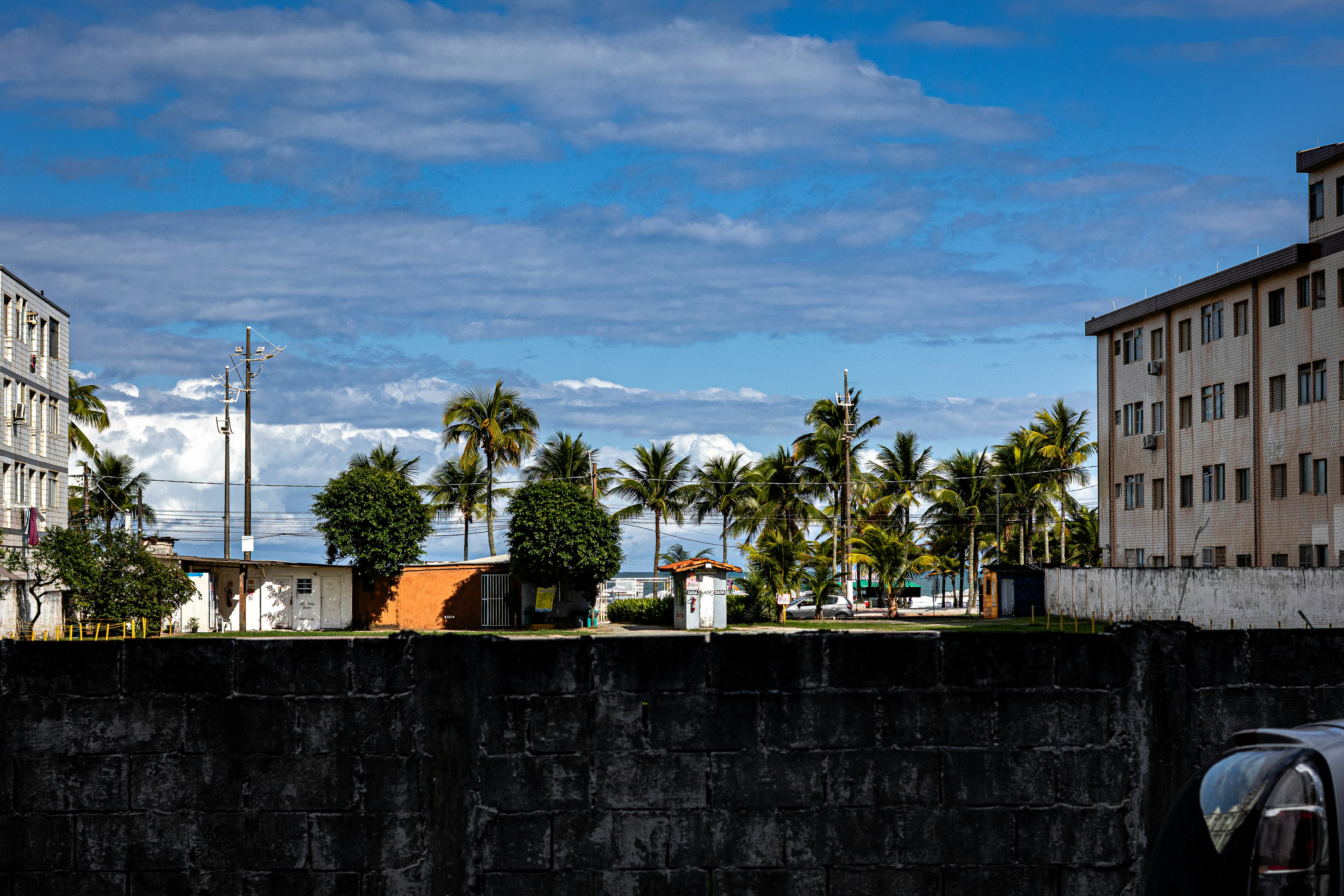 Concrete wall, buildings, and palm trees under cloudy sky.