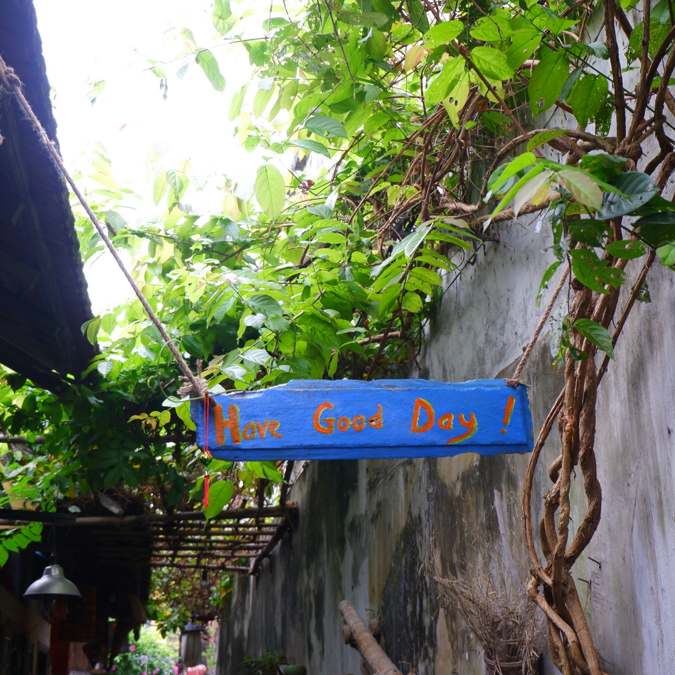 Blue wooden "have good day!" sign amidst lush green vines