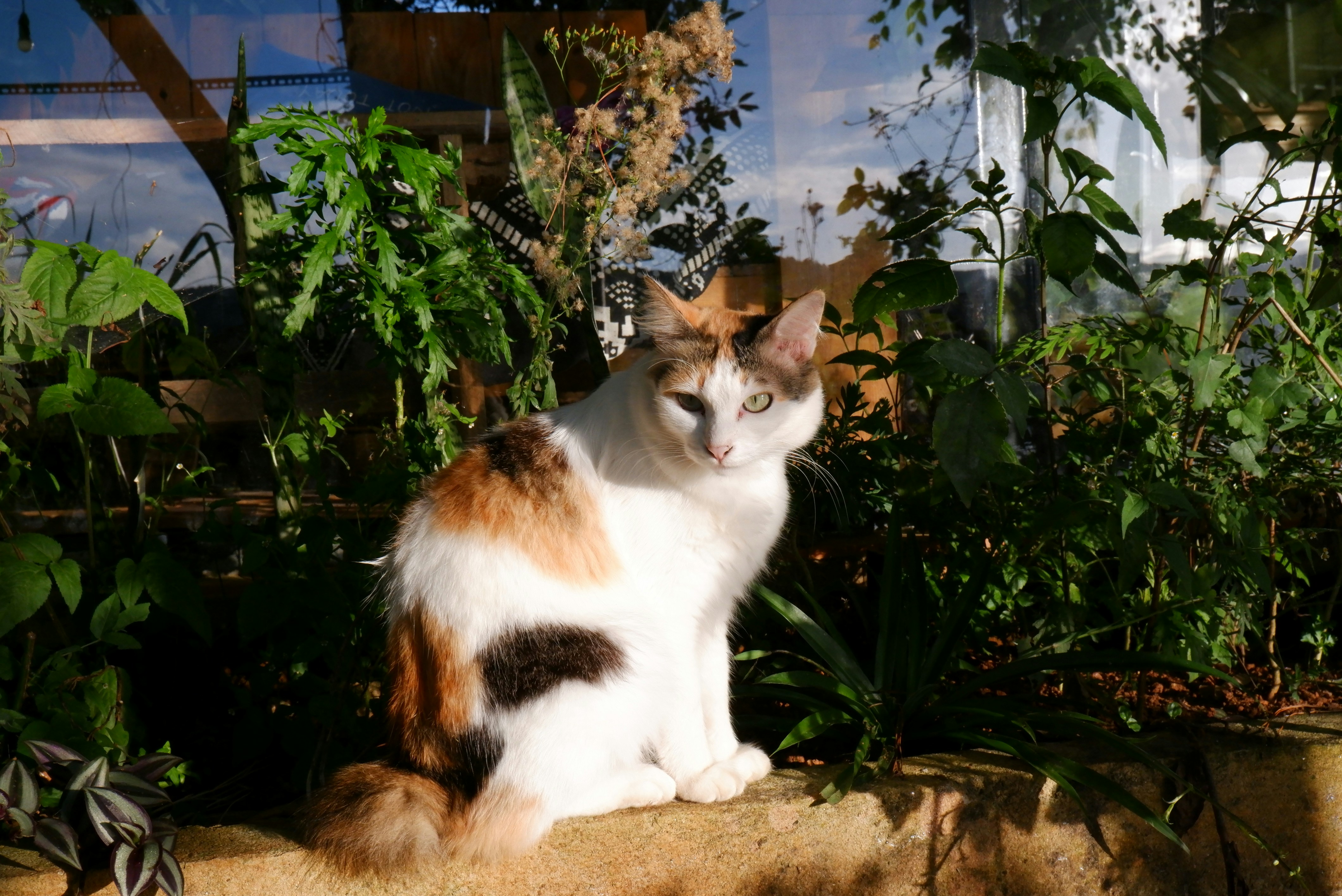 Photo by hoomanbeings