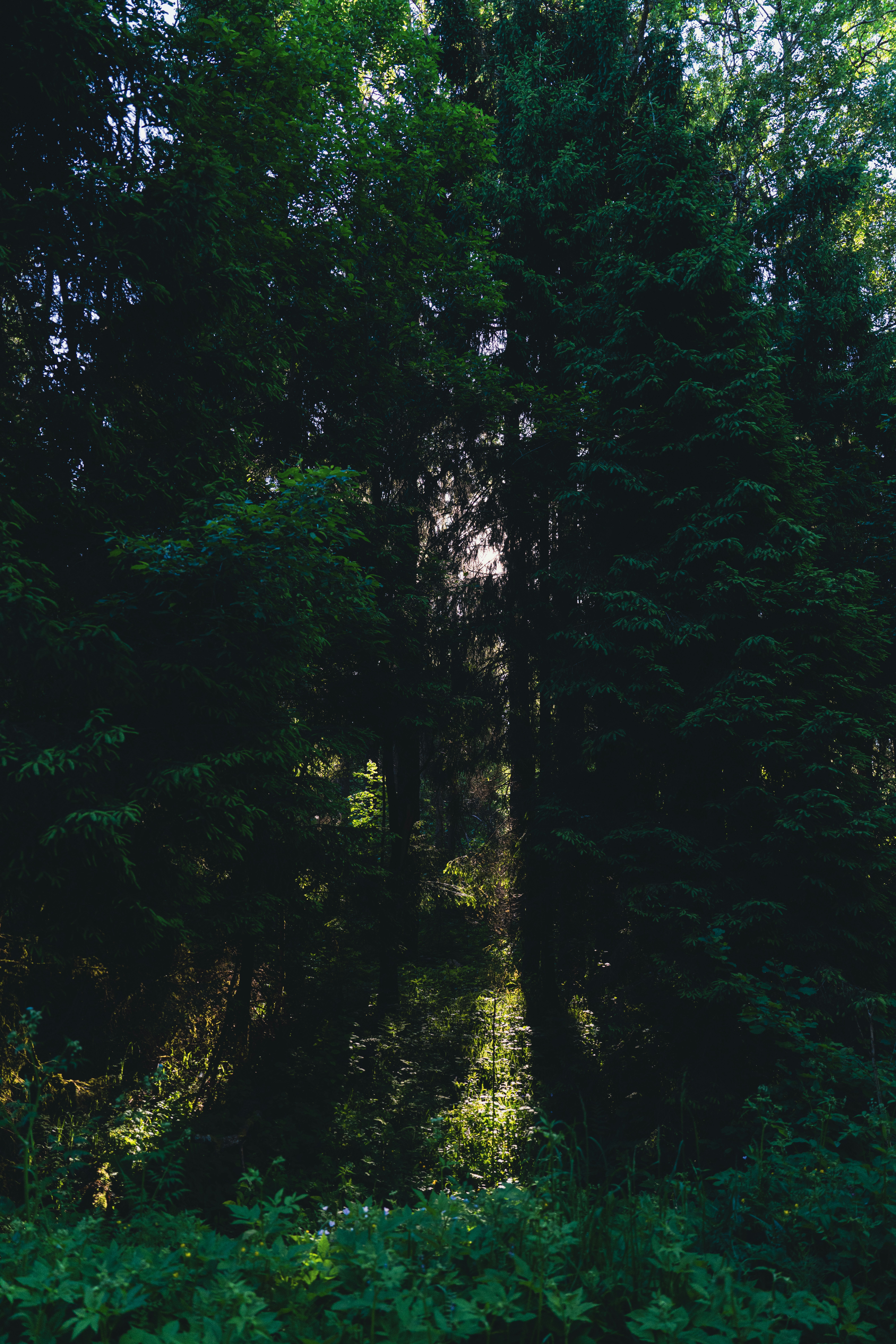 Photo by hellaren