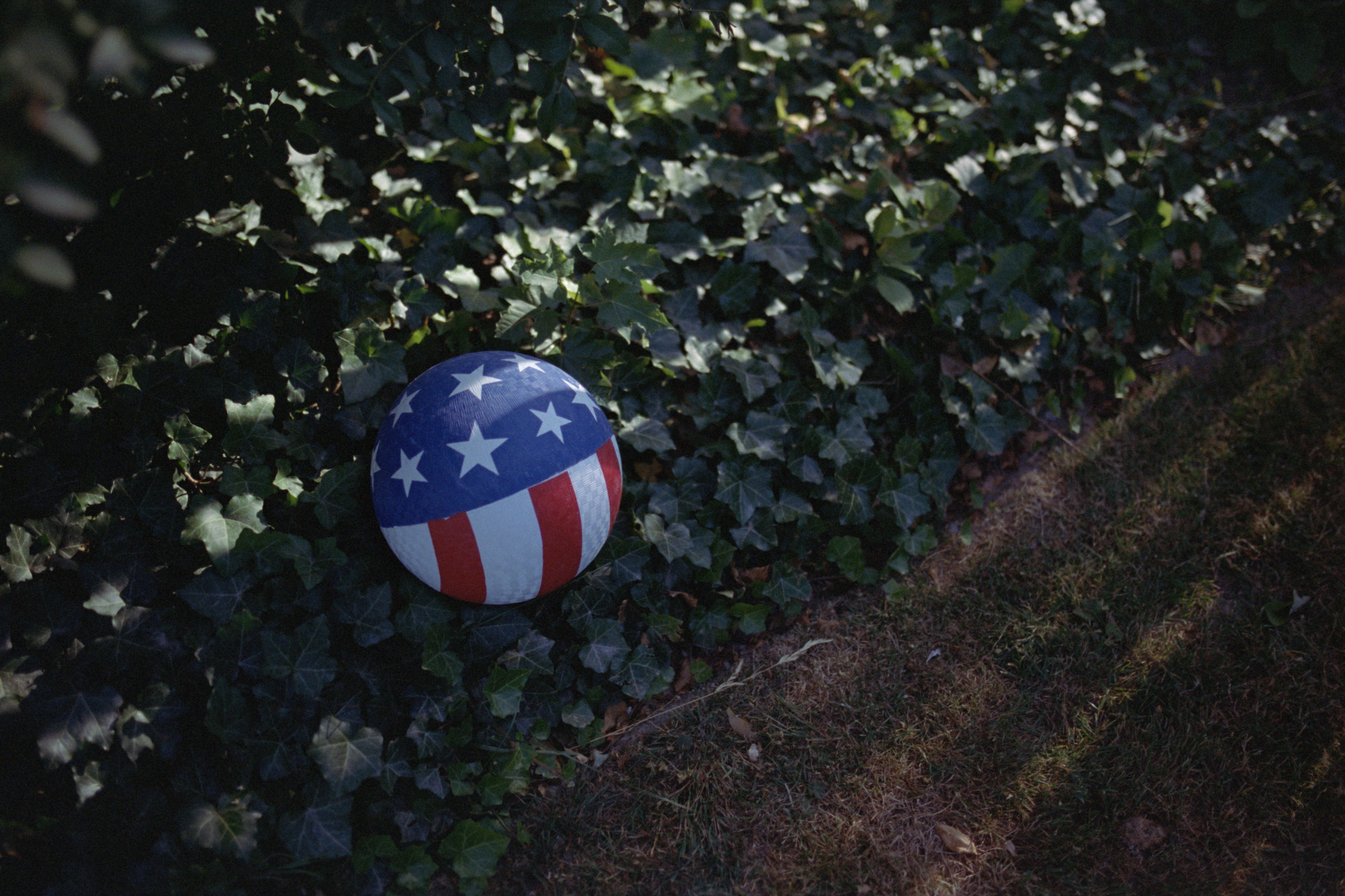 An american flag beach ball rests on green leaves.