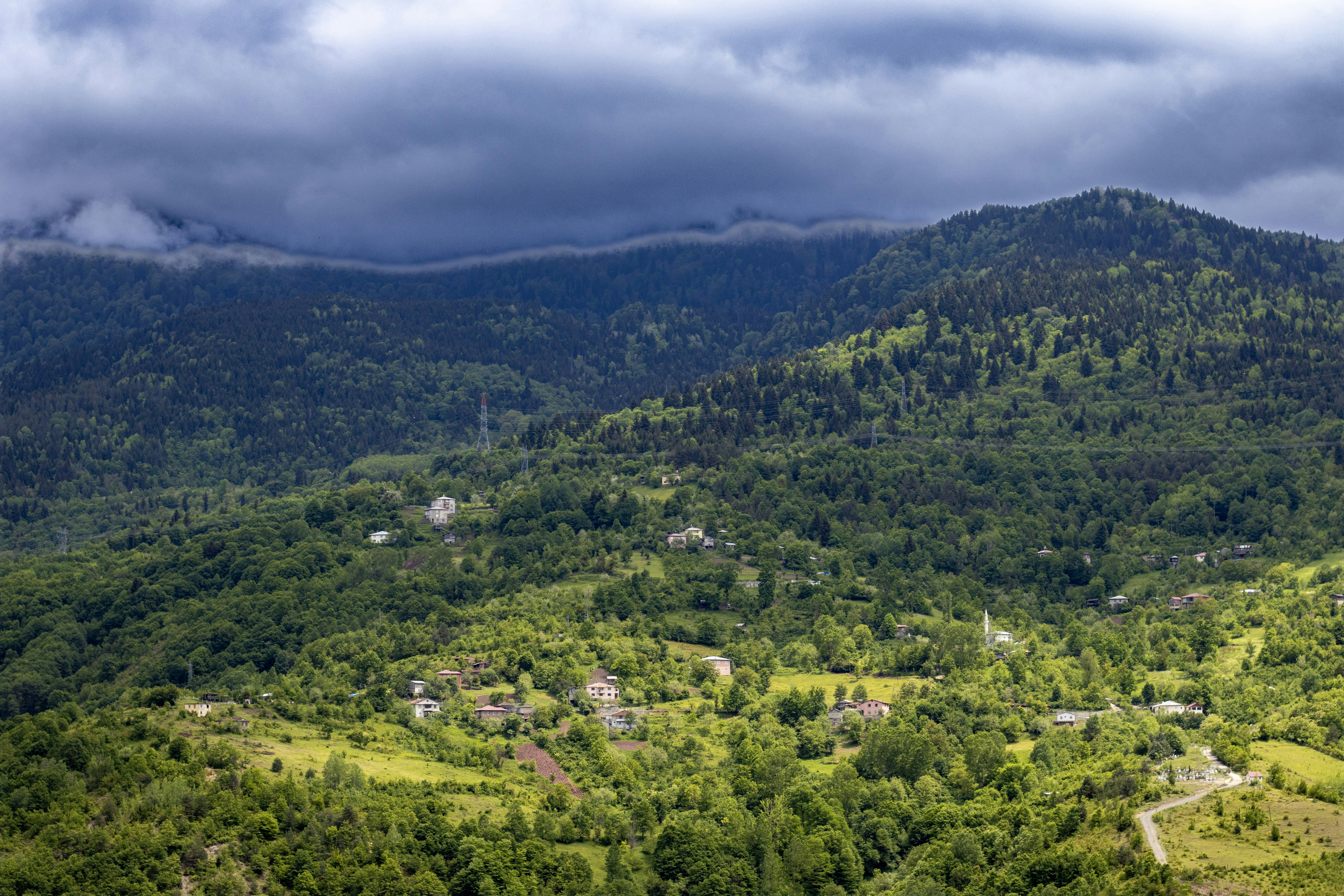 Photo by photocekici