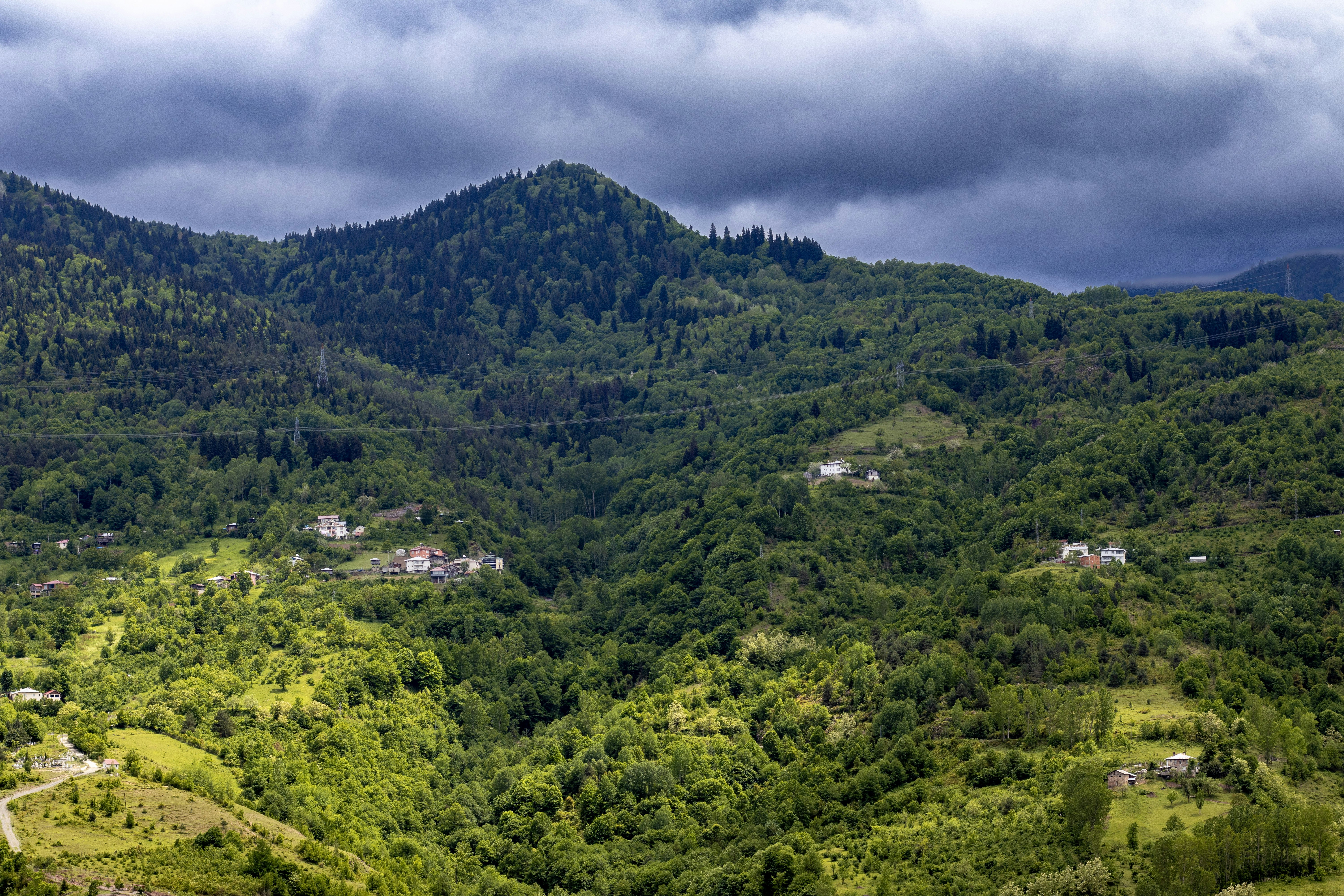 Photo by photocekici