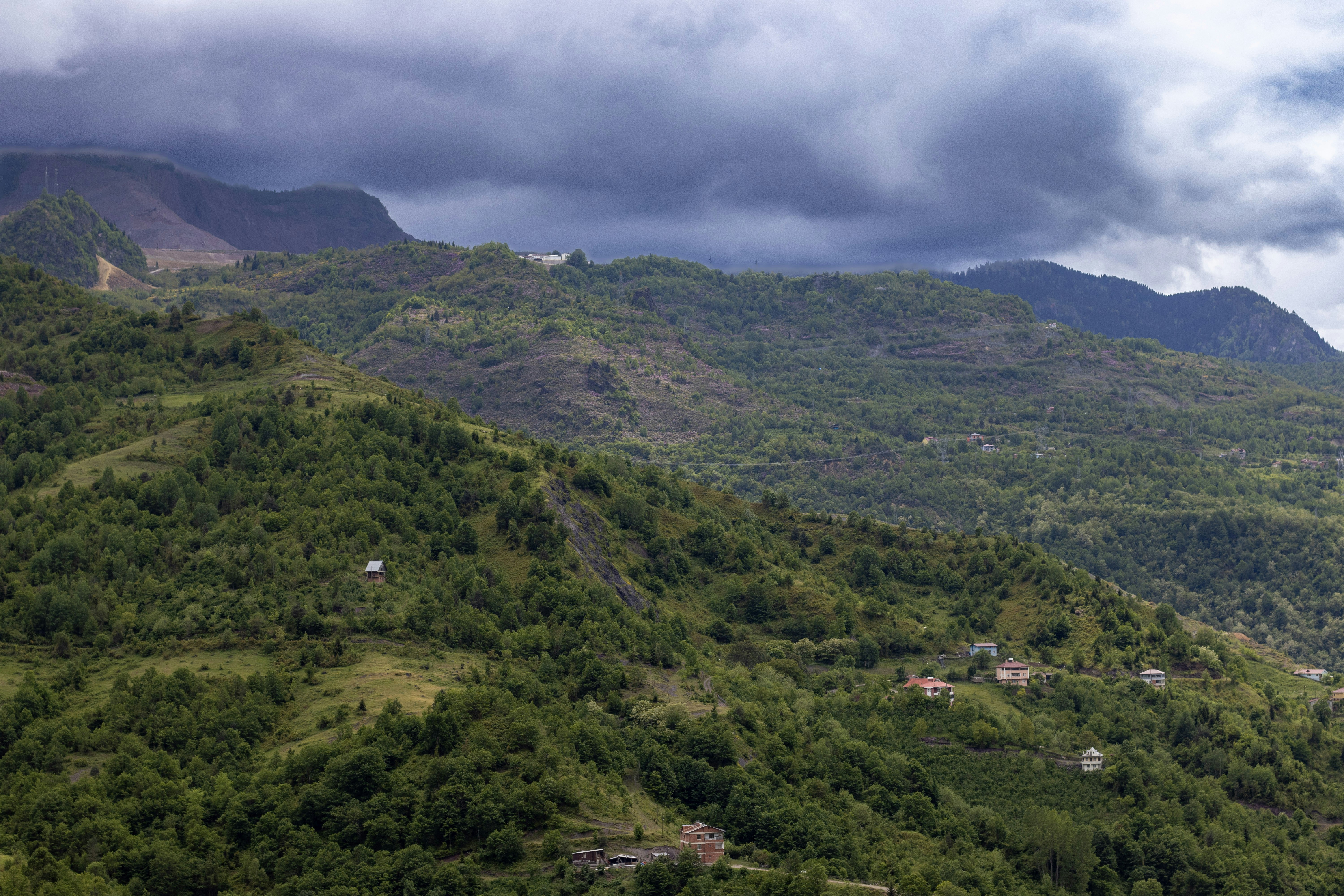 Photo by photocekici