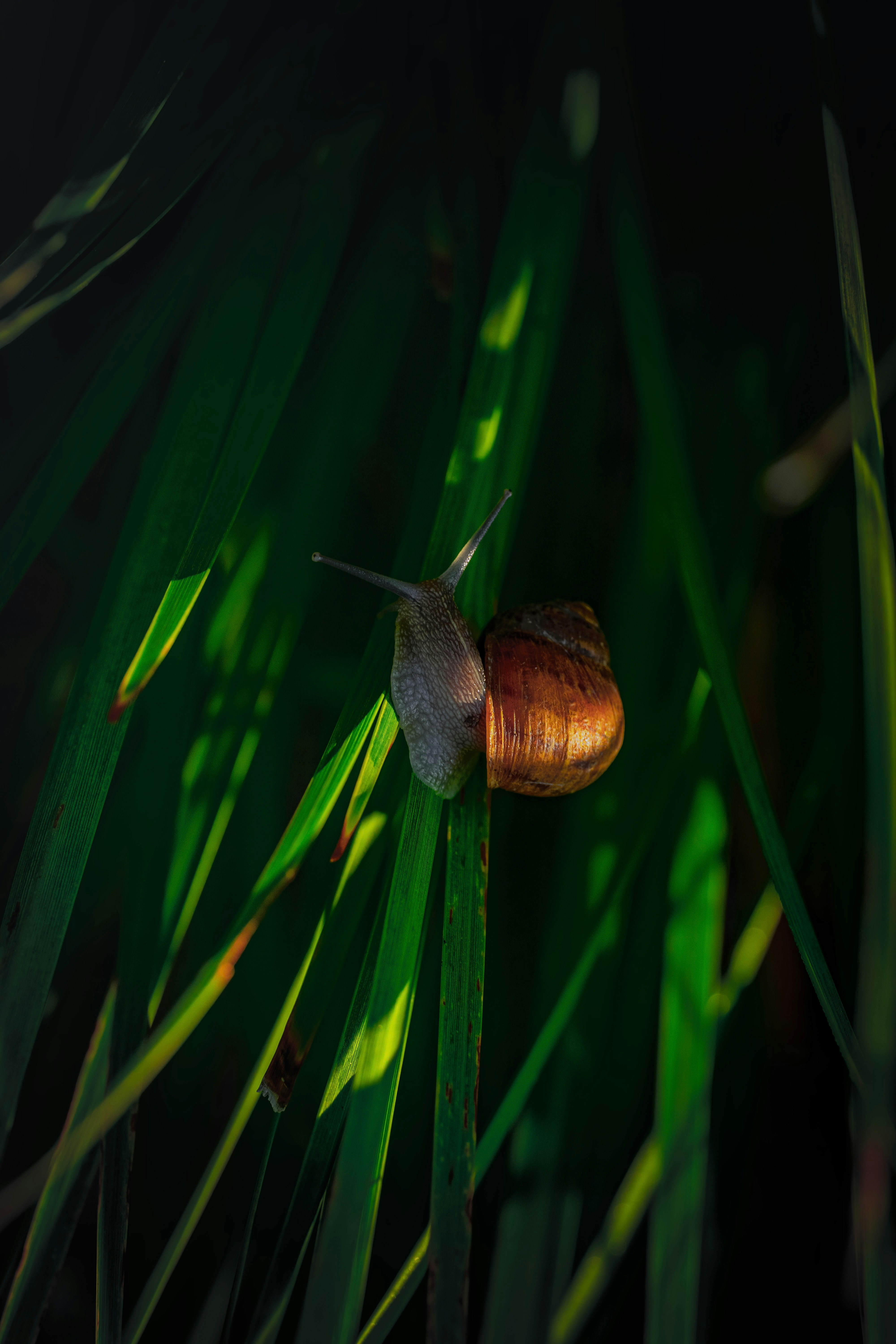 Nathan Rathbun (@otss1) | Unsplash Photo Community
