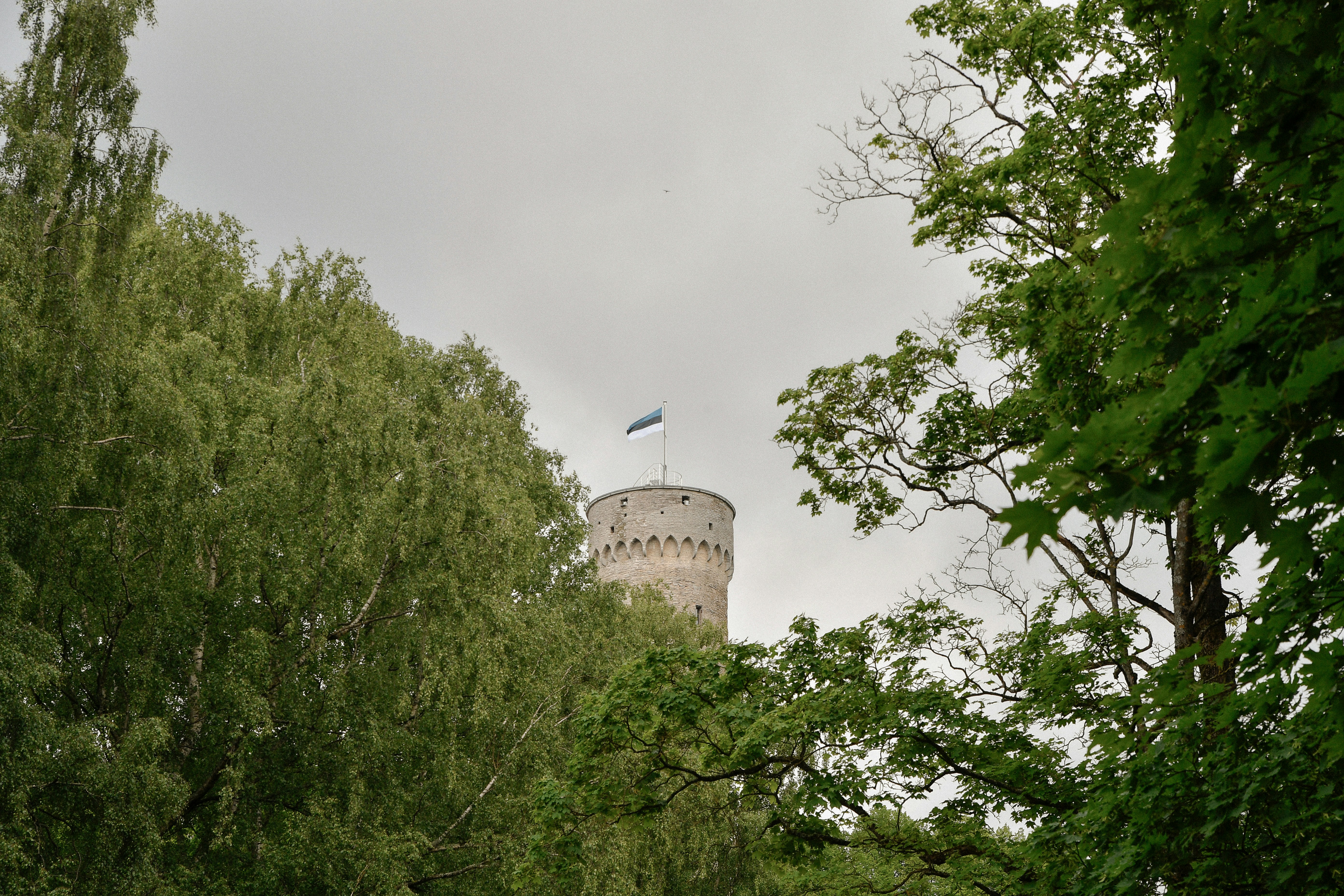 A stone tower with a flag peeking through green trees.