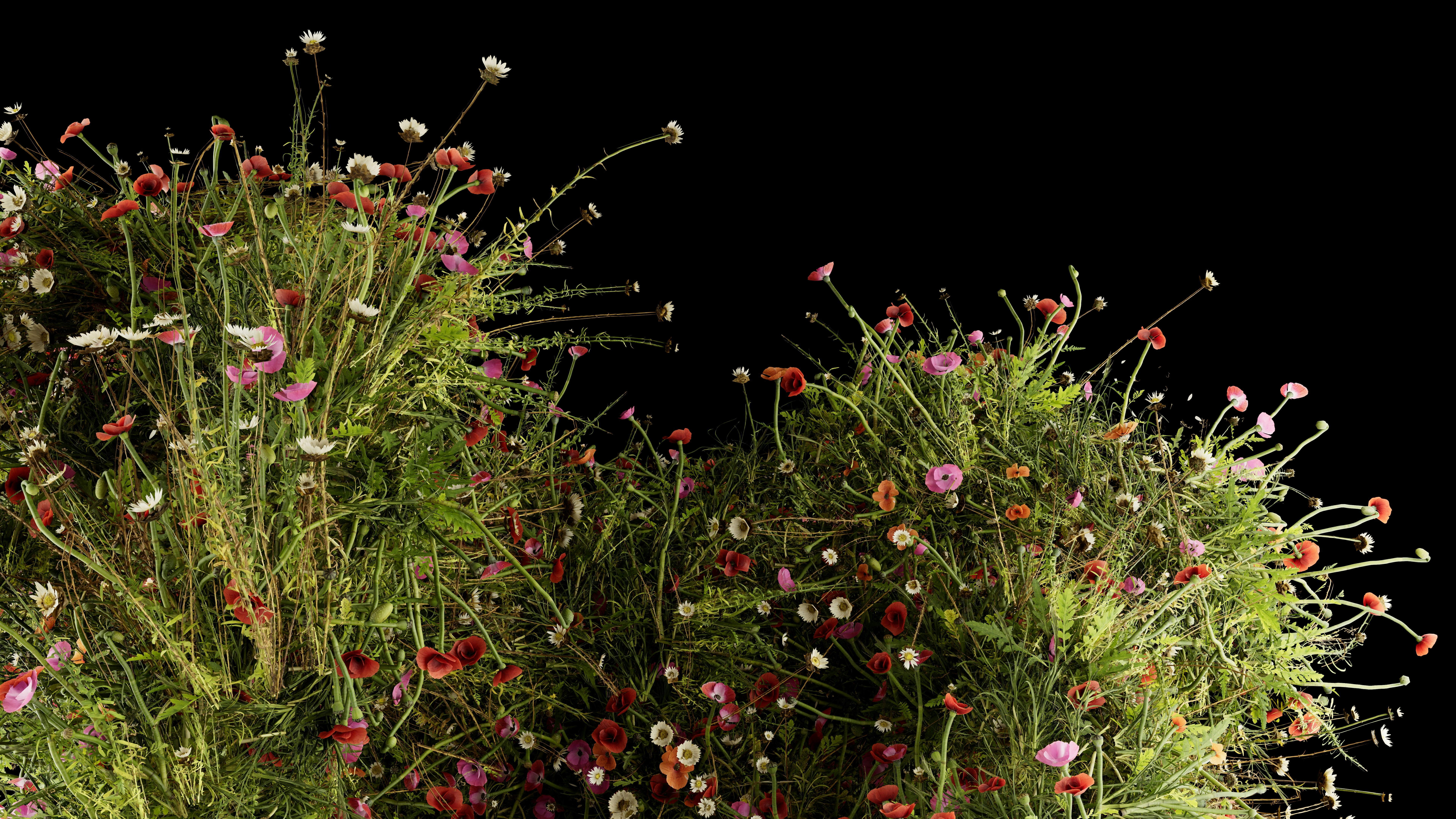 3D Render - Abstract Botanicals - Wallpaper - 8K