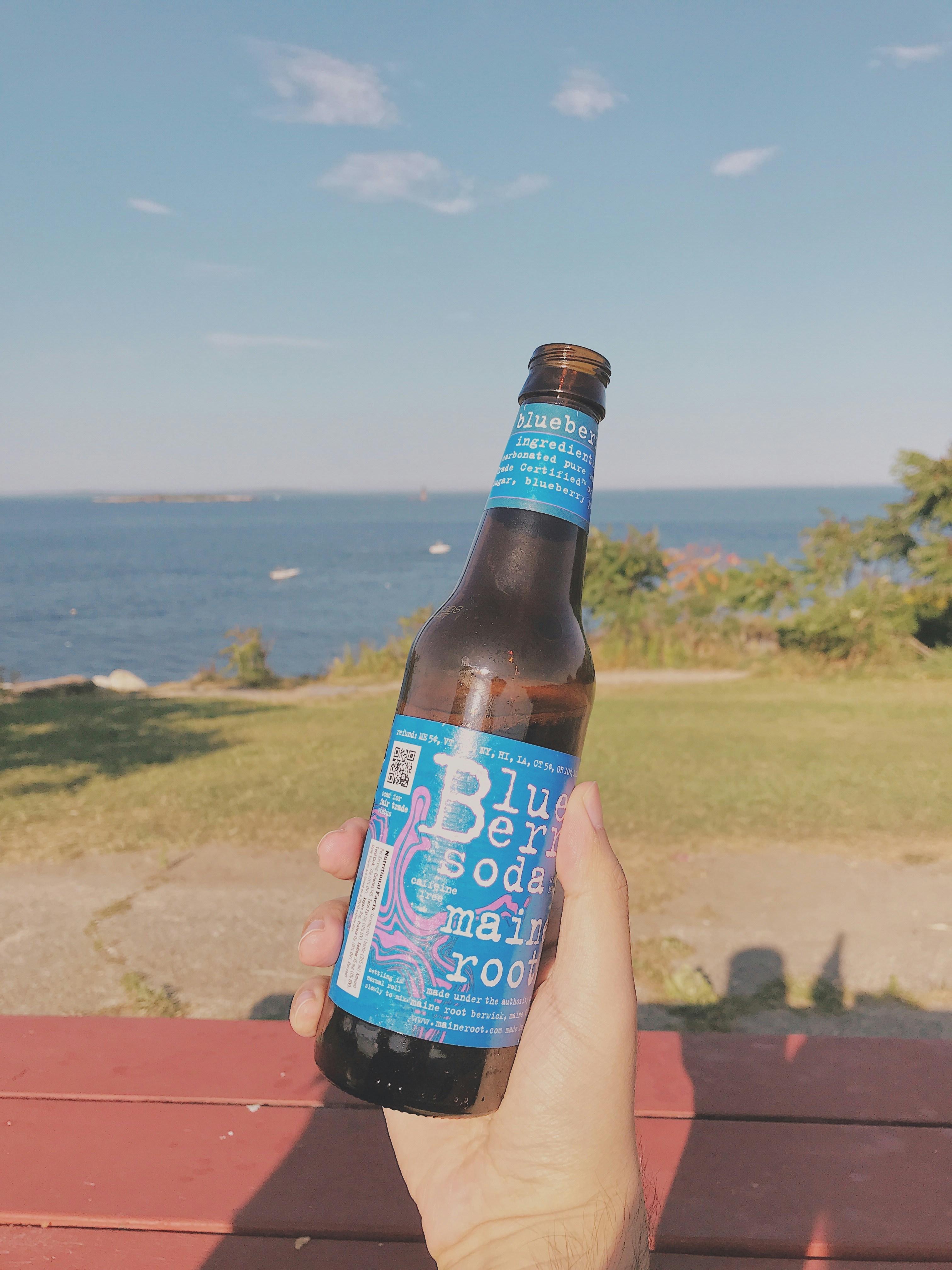Hand holding a blue soda bottle by the ocean.