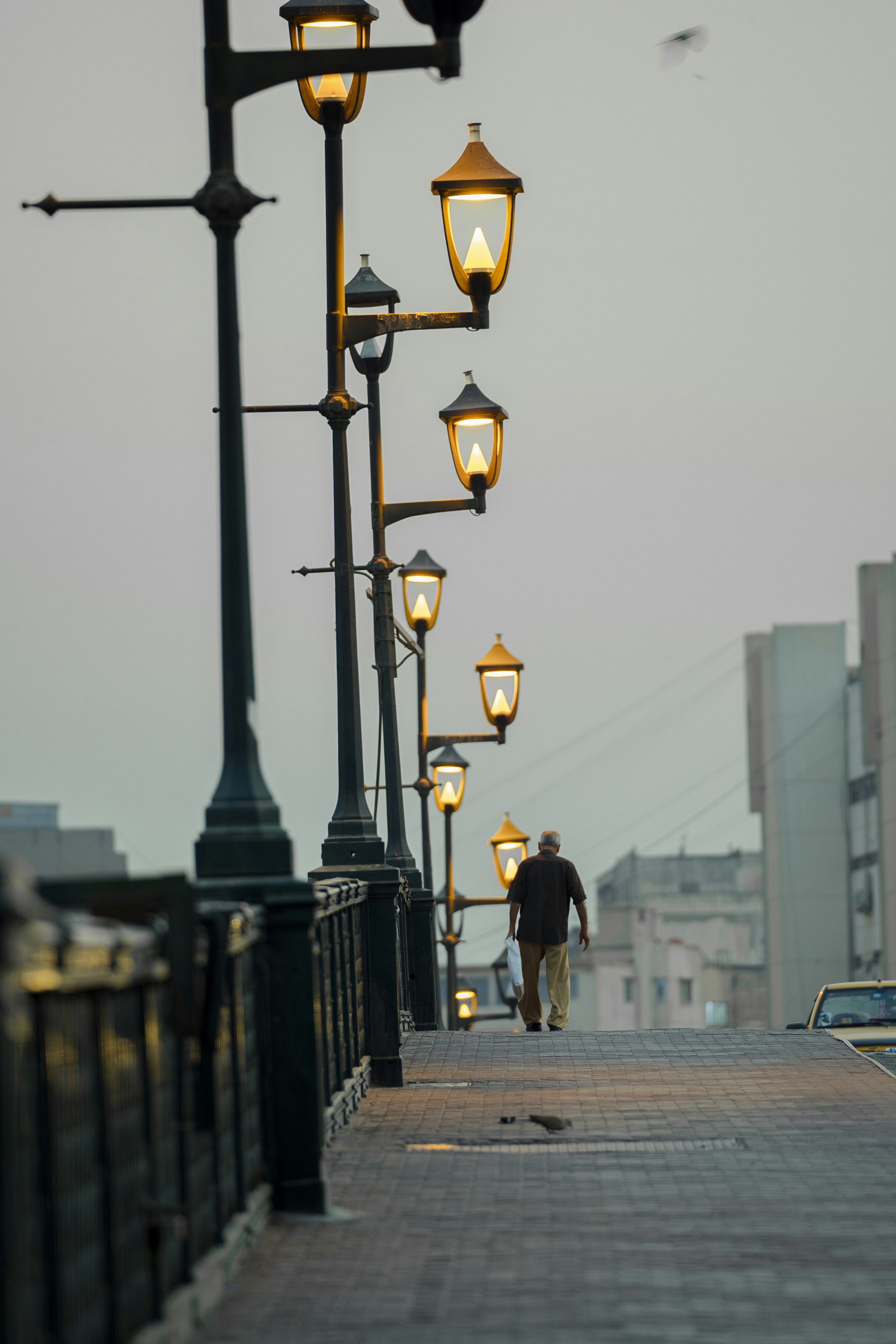Photo by husseinalmukhtar