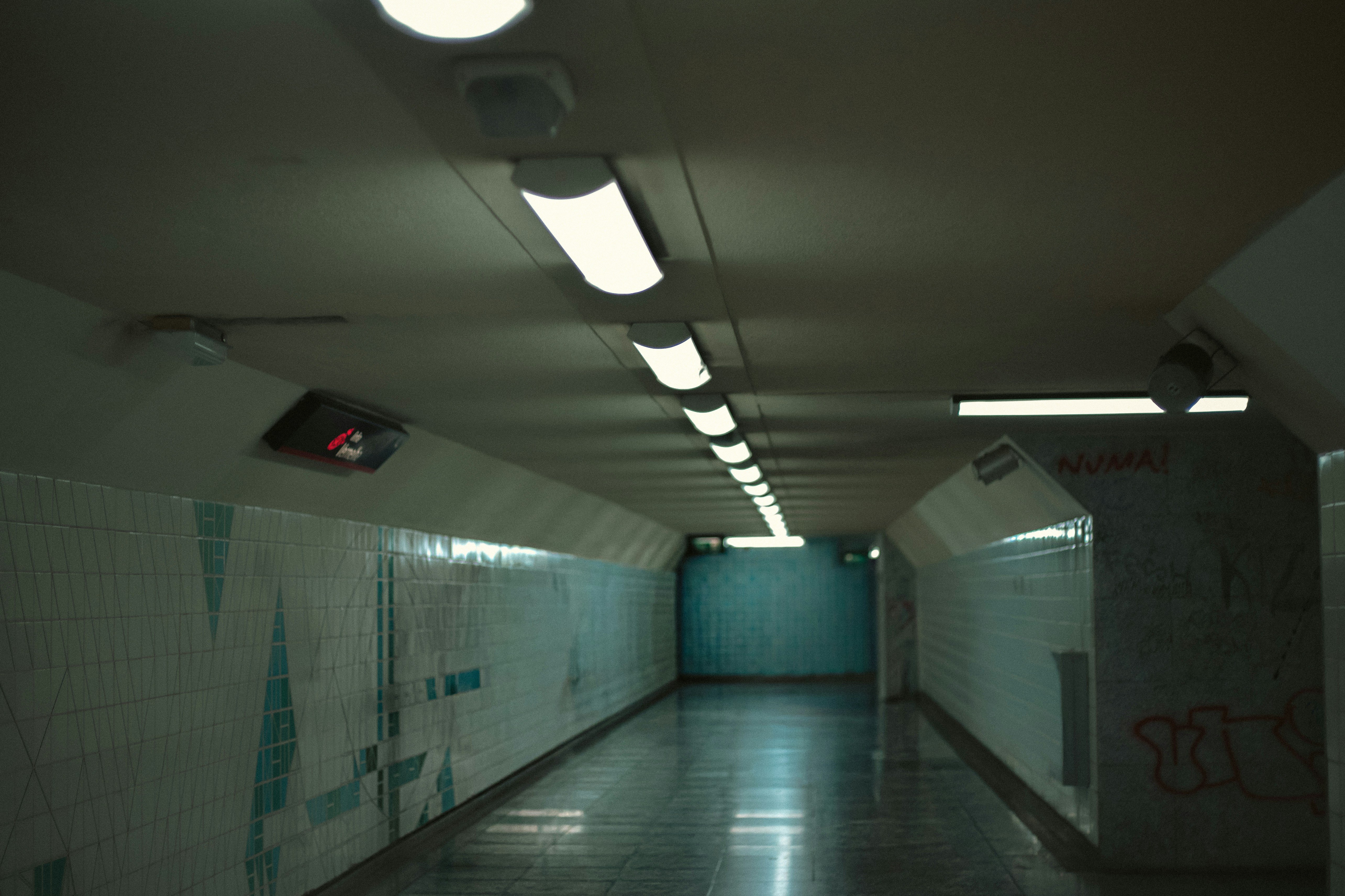 Photo by tiberiu93