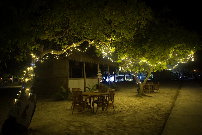 Best Nightlife in Sihanoukville: A Practical Guide to Going Out
