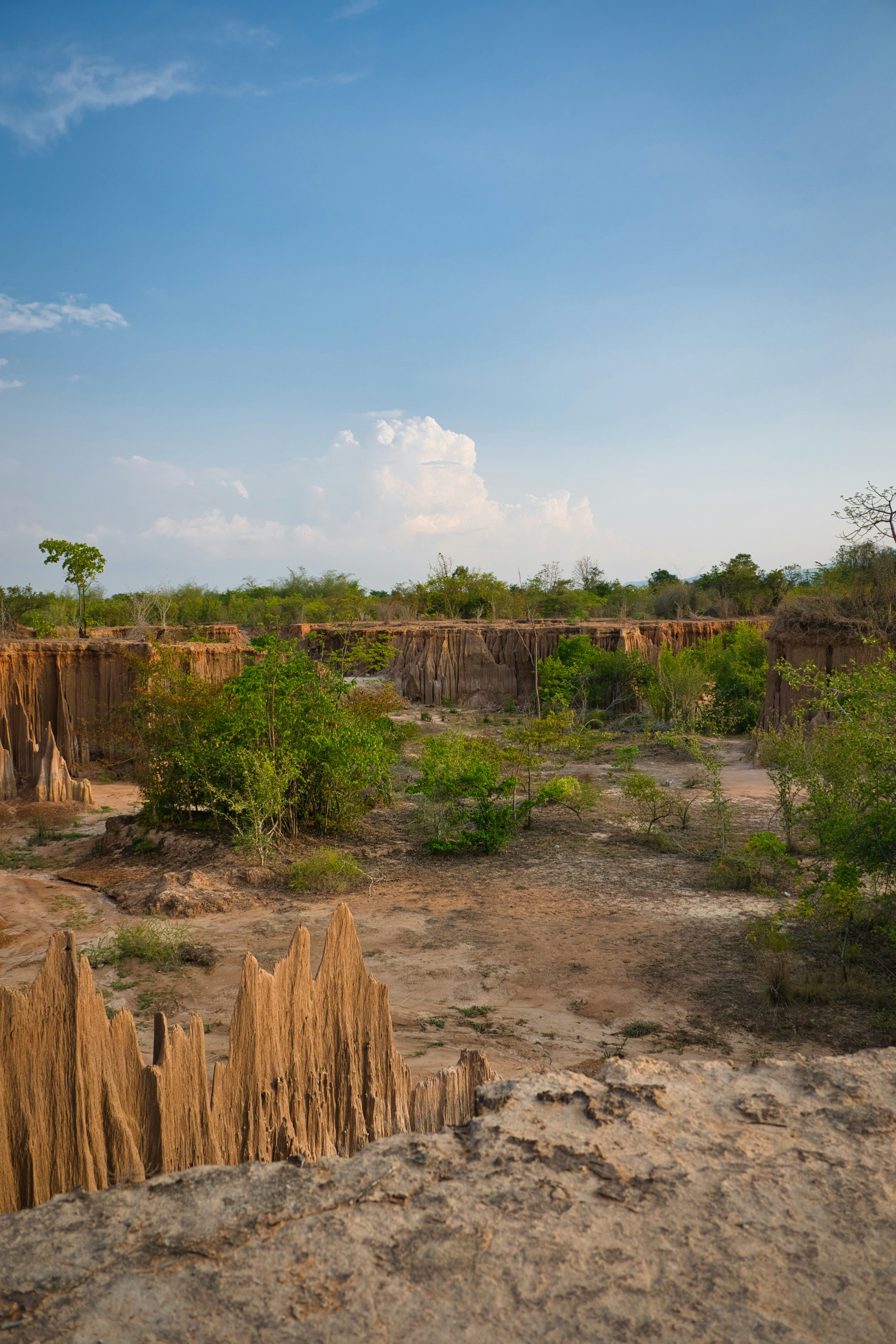 Eroded earth pillars and green vegetation under a blue sky