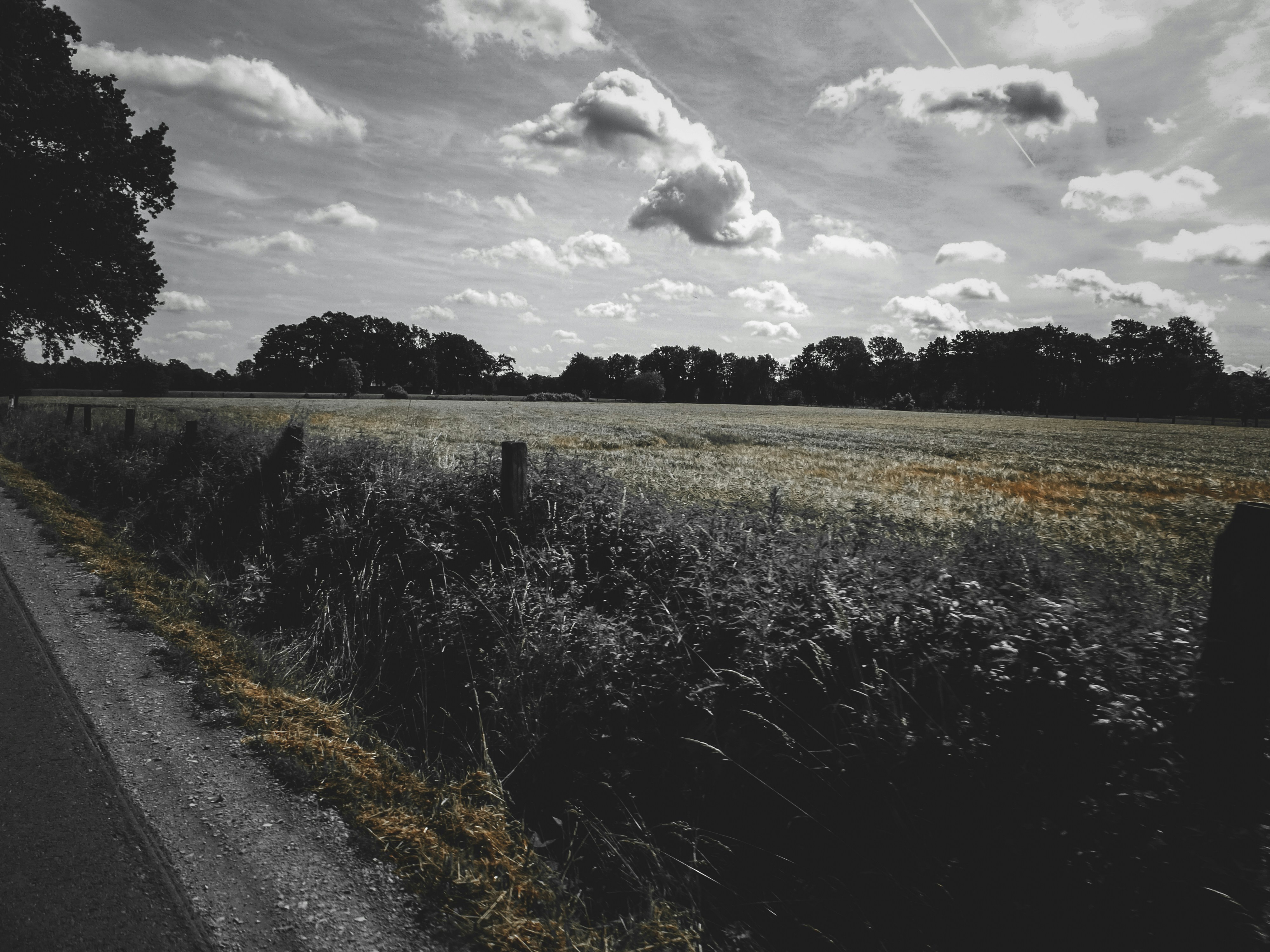 Photo by schotterblicke