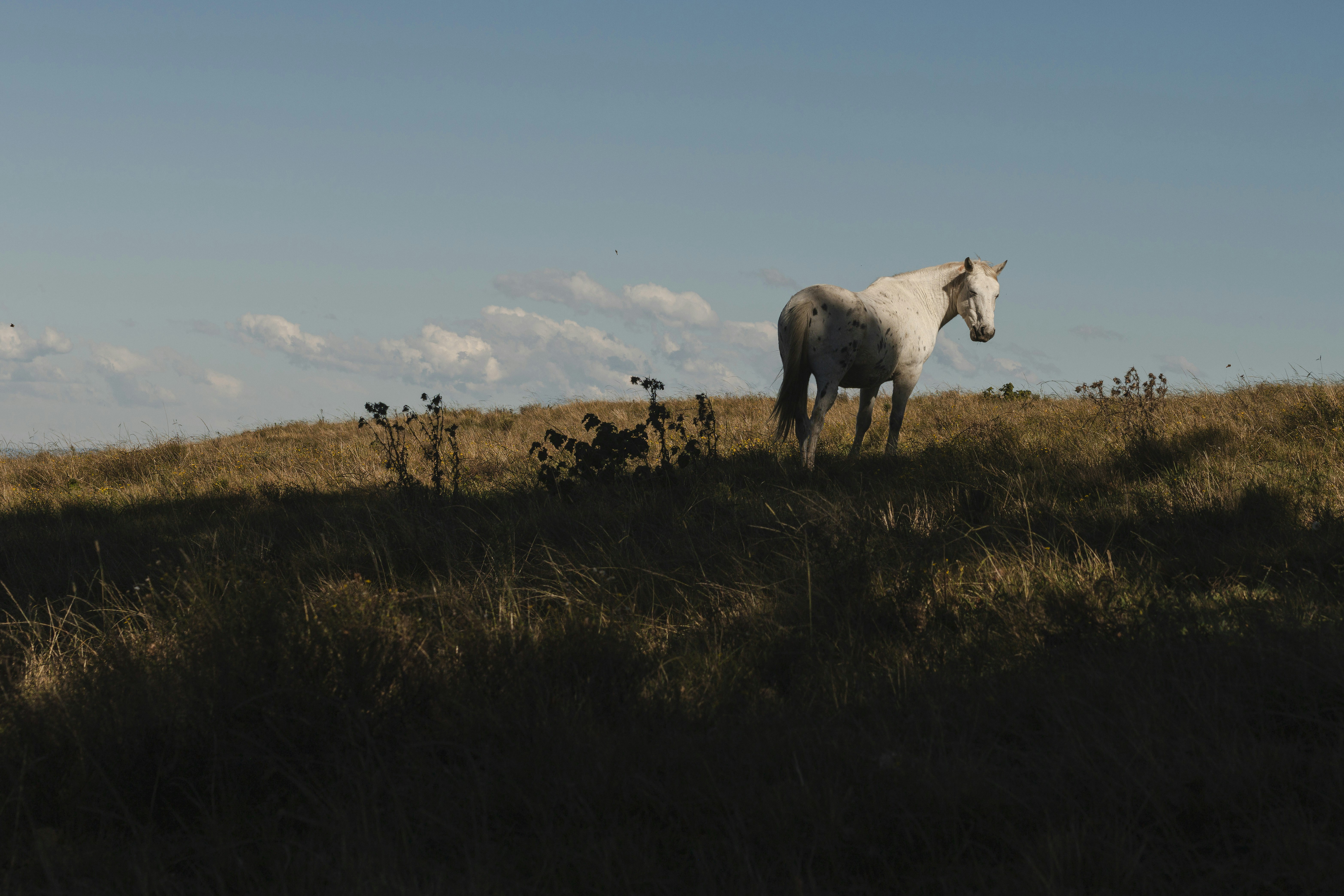 Photo by vijev