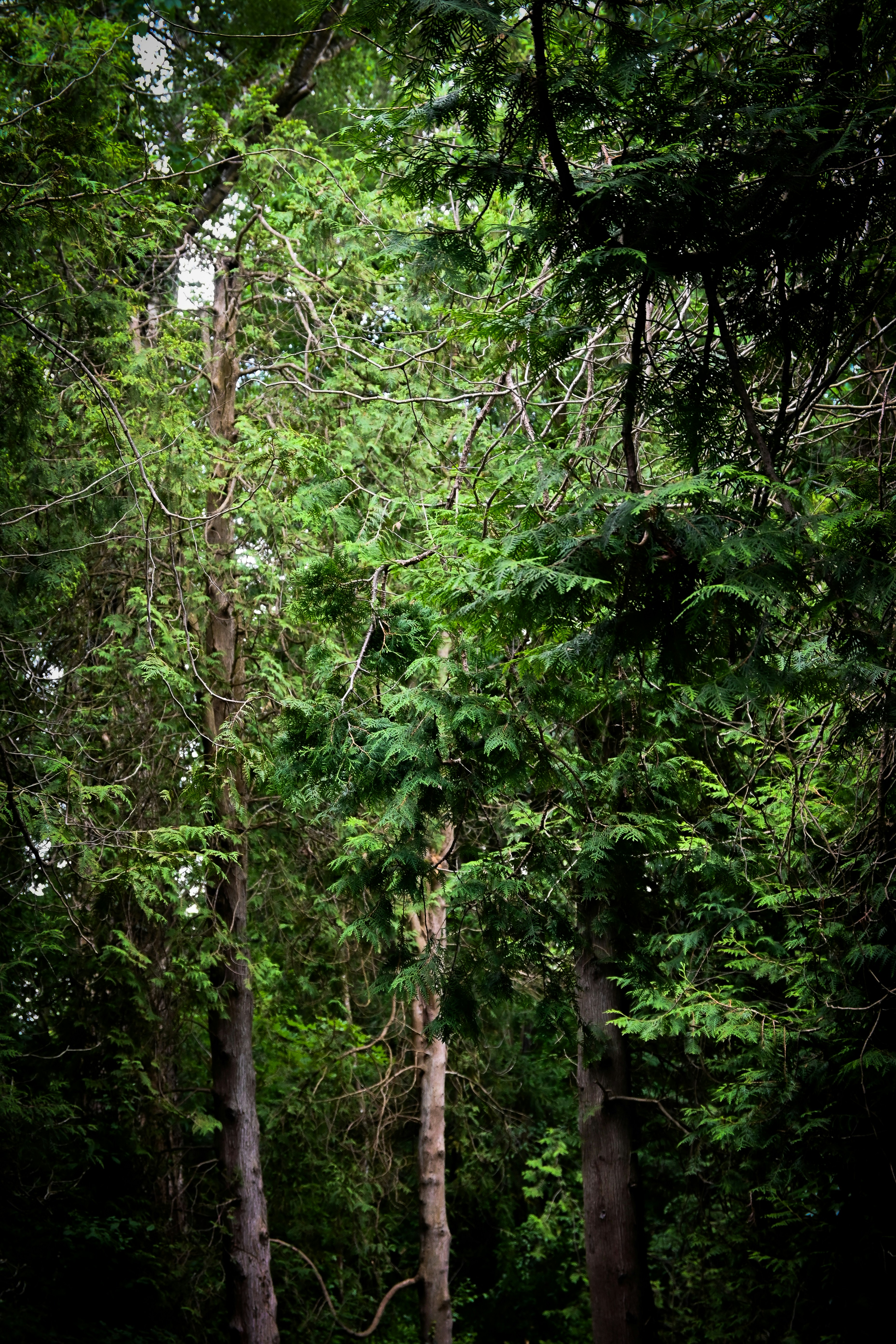 Photo by sylwiabartyzel