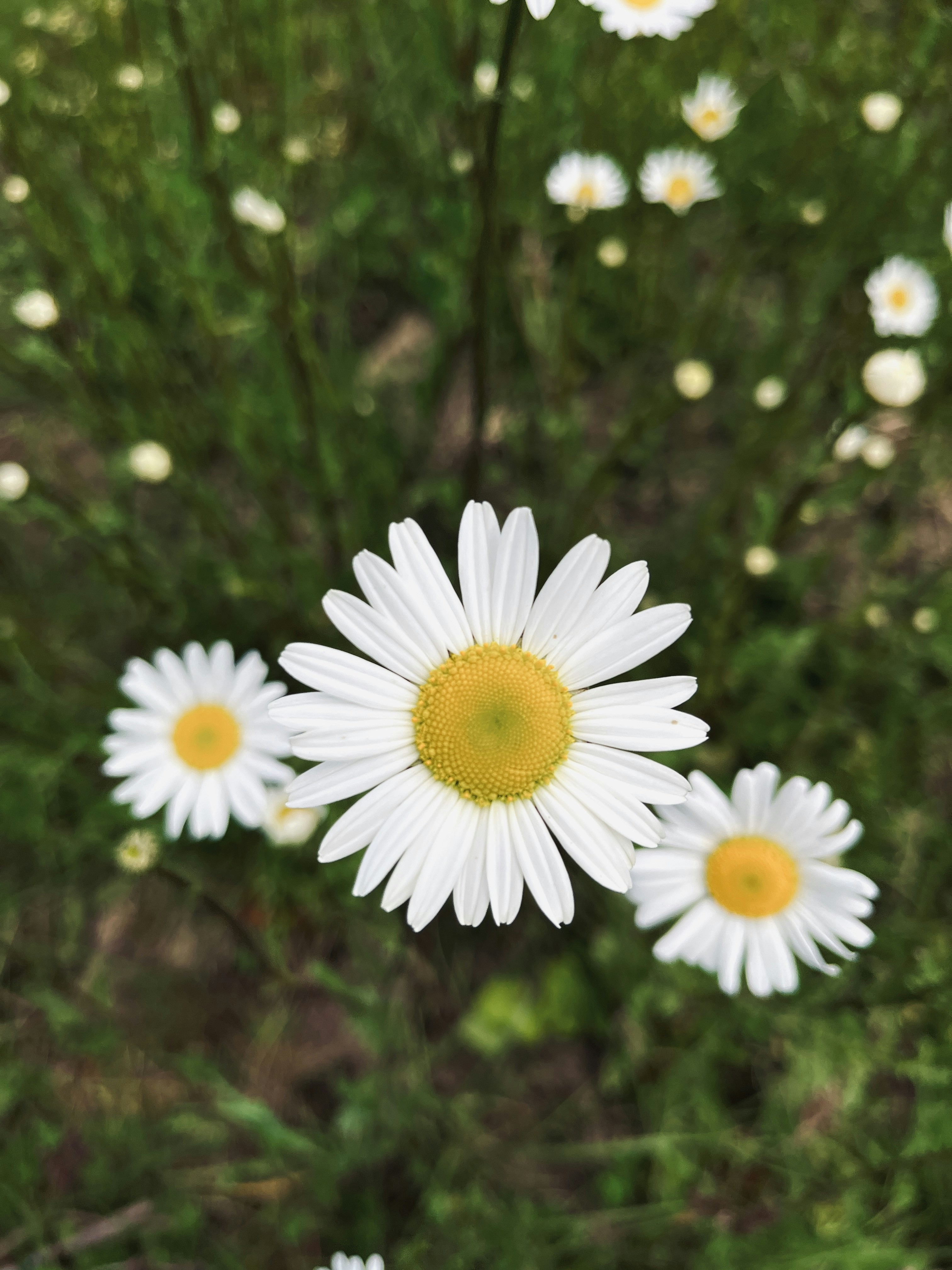 Photo by _kiianmehr