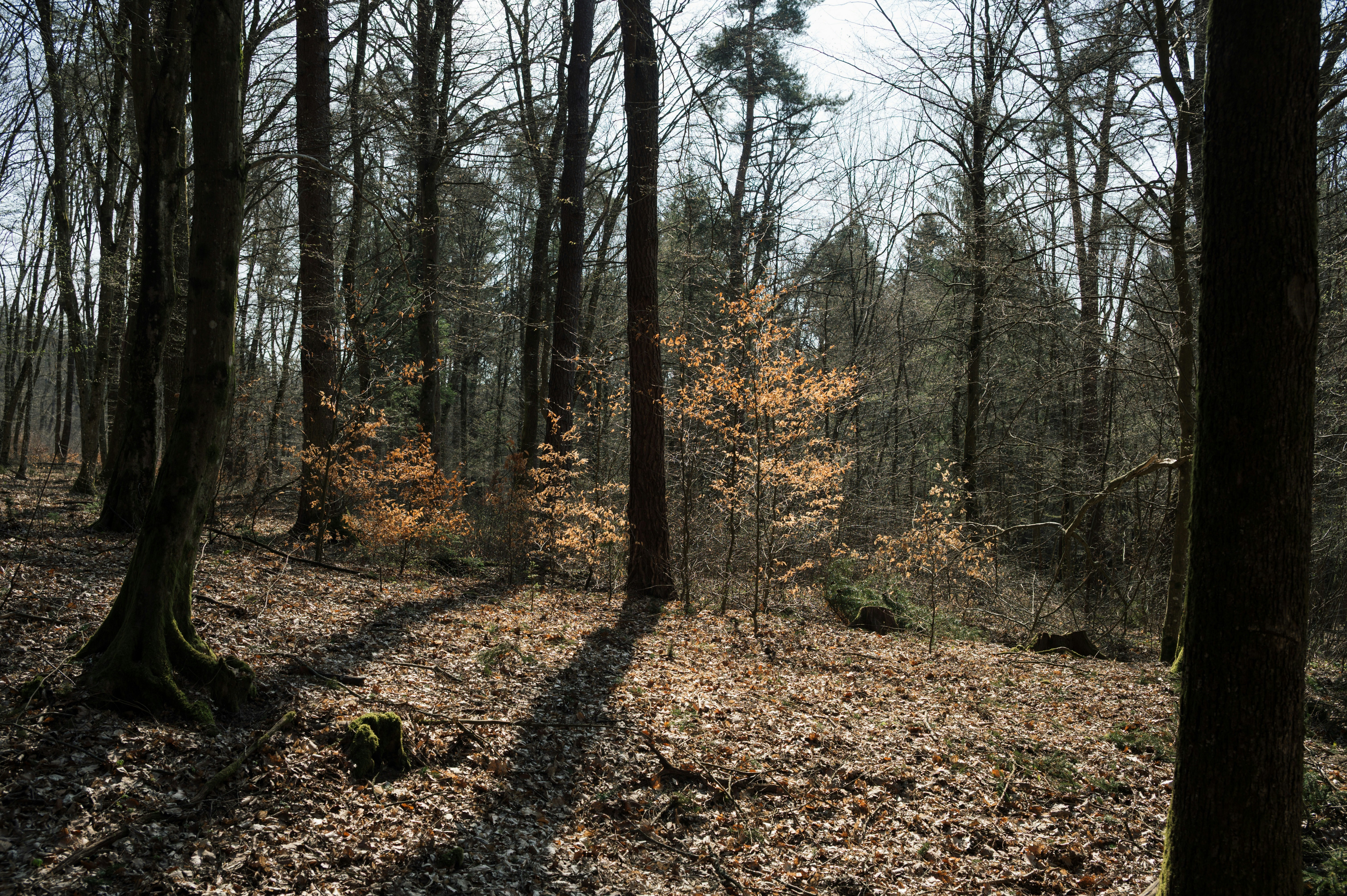 Photo by buduczki