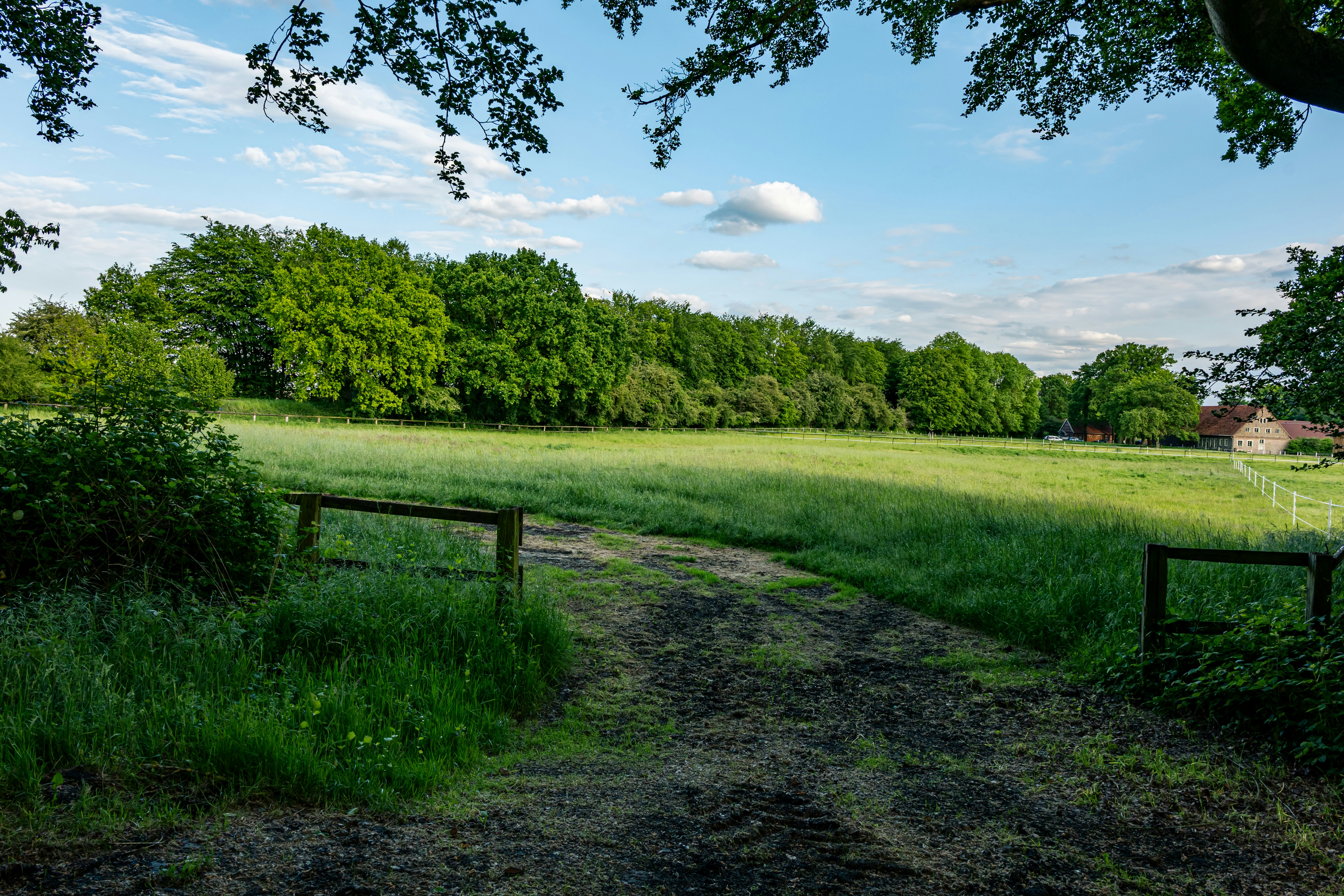 Photo by skstrannik