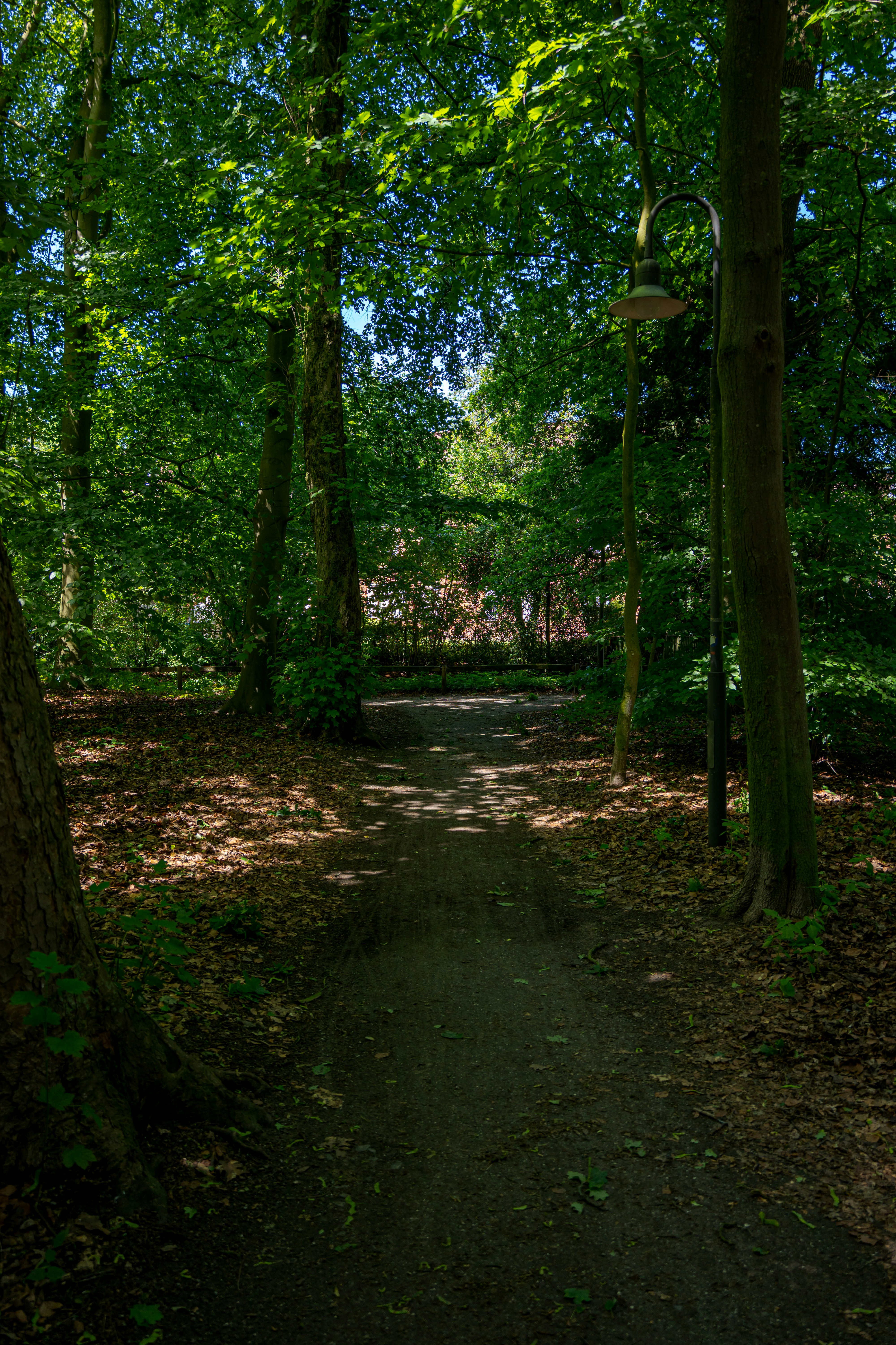 Photo by skstrannik