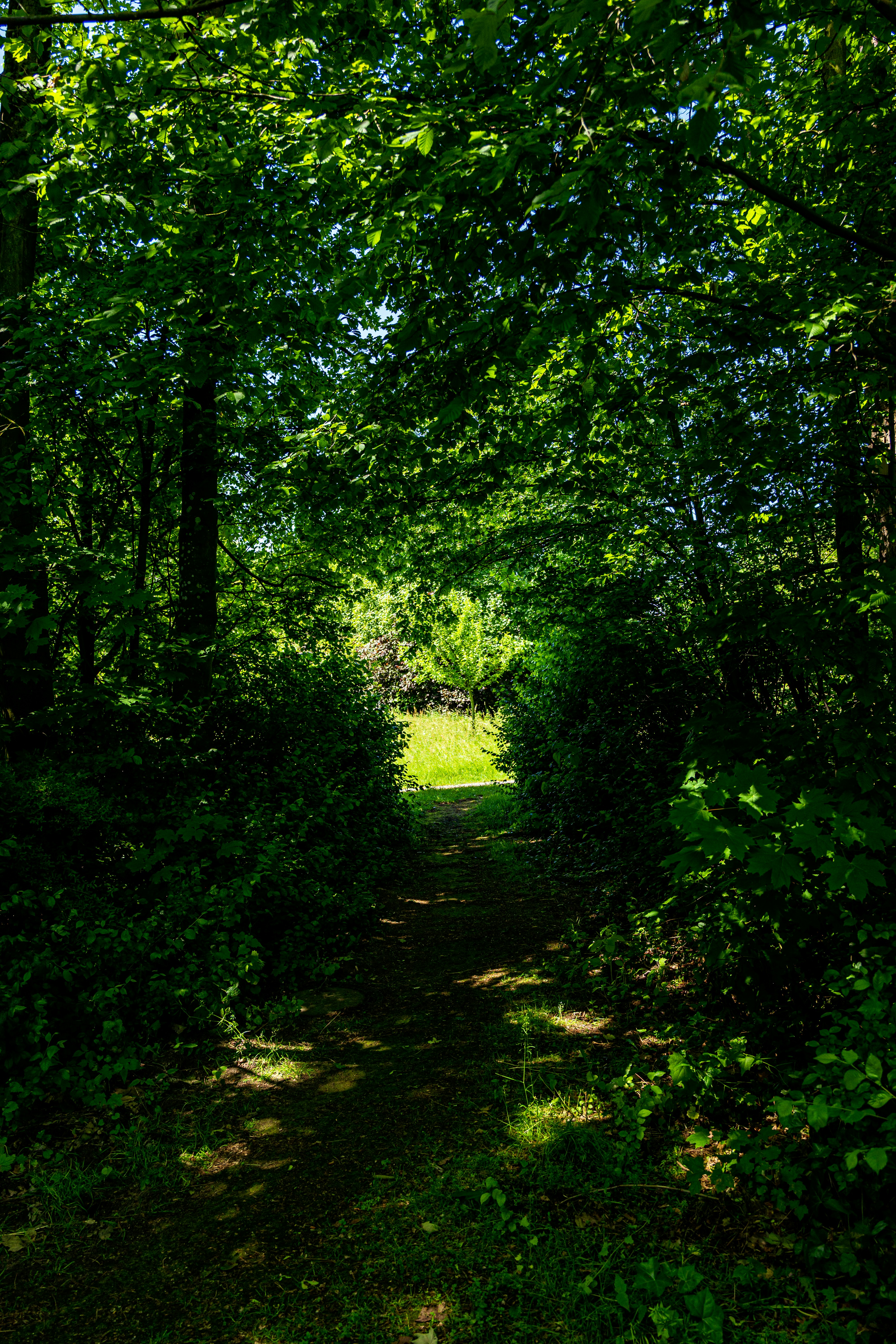 Photo by skstrannik