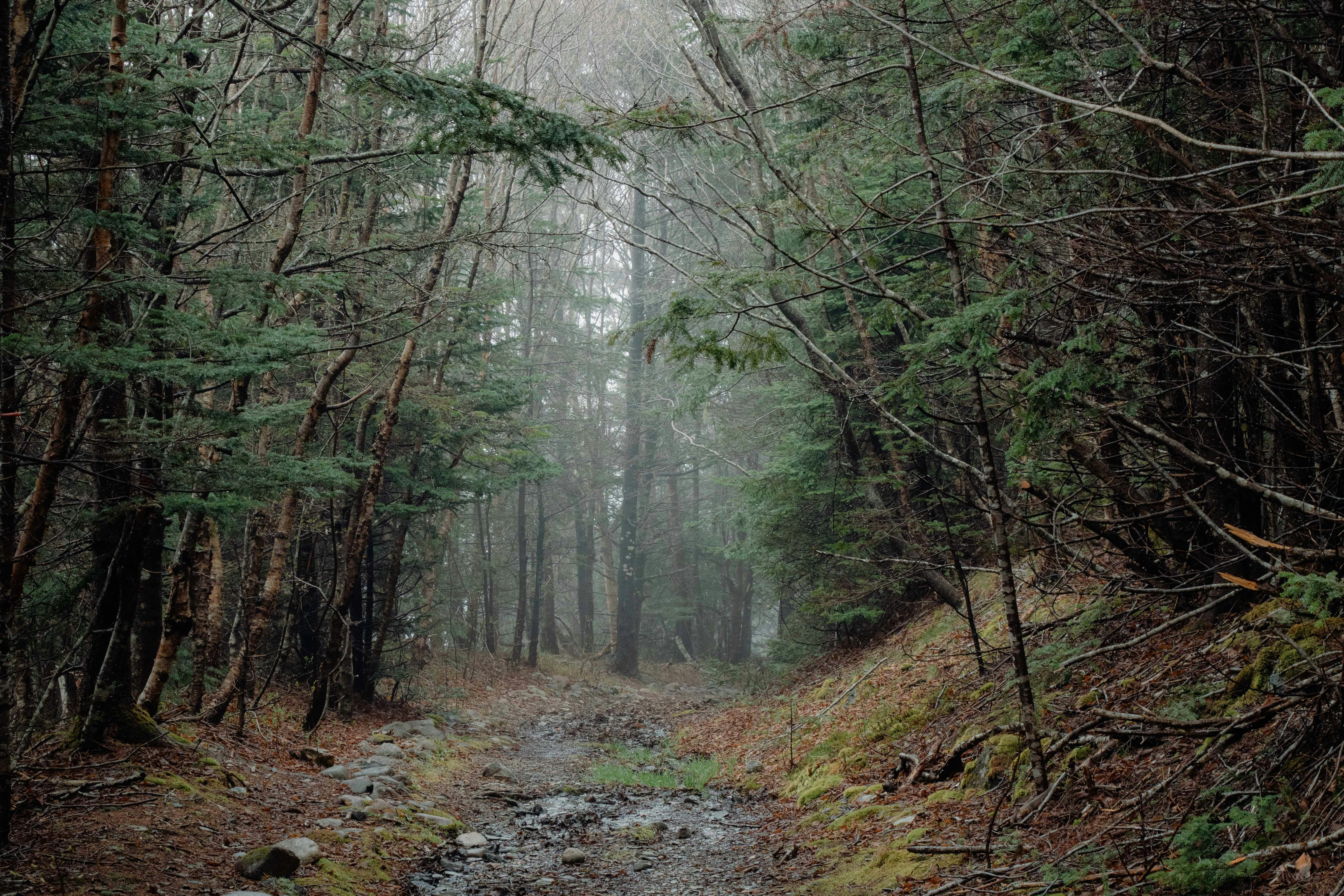 Photo by alxlian