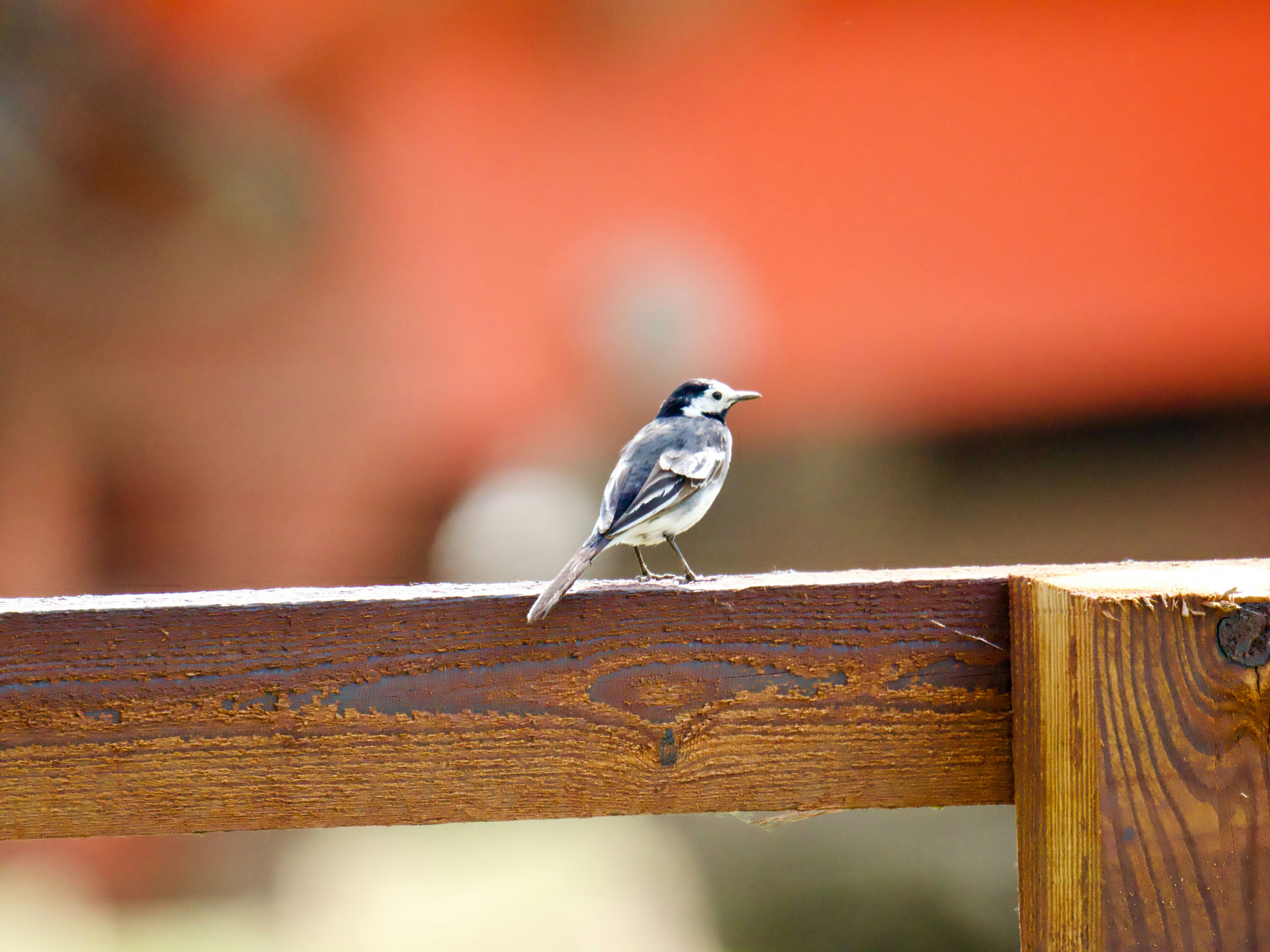 Photo by jolley54