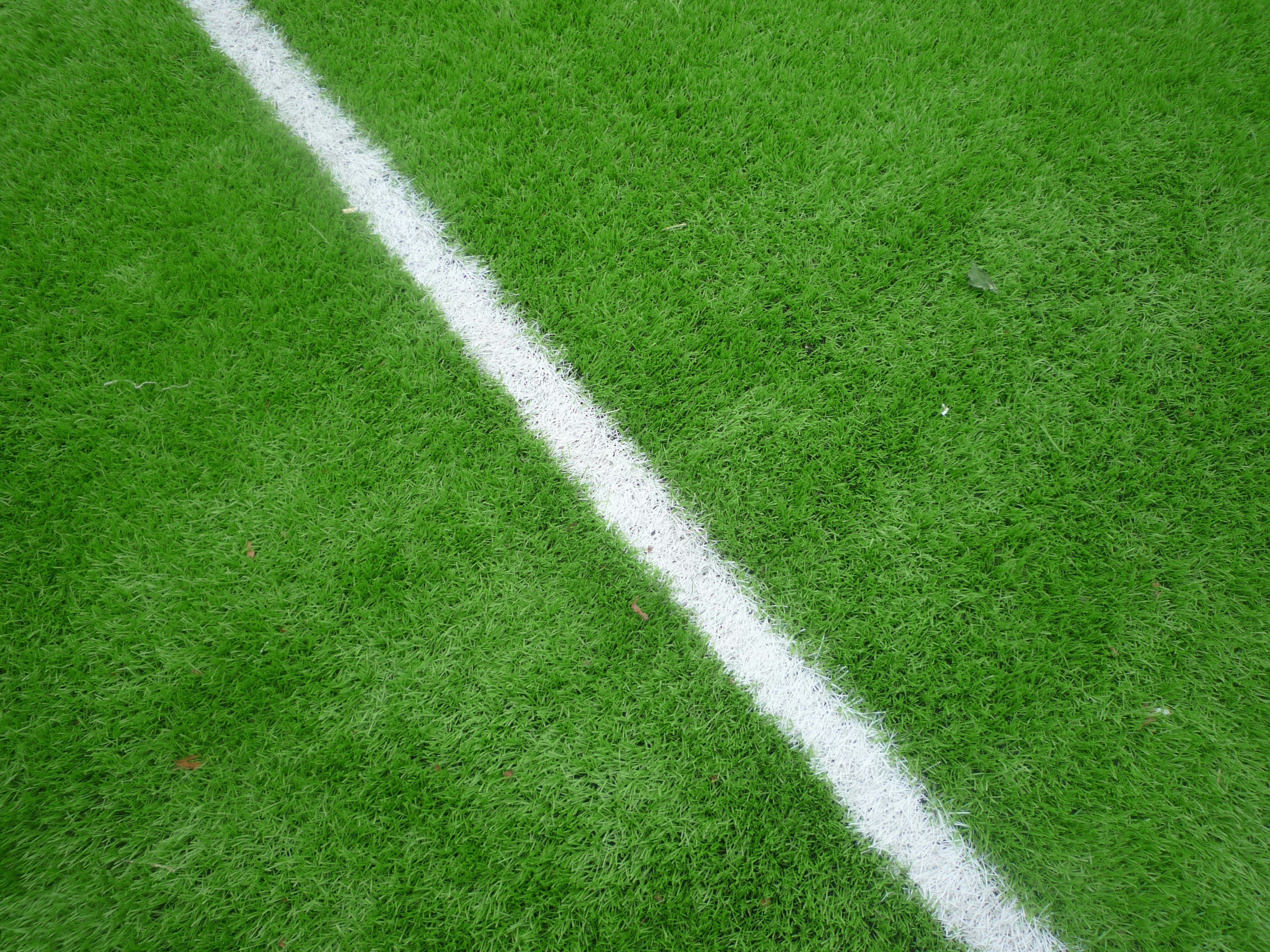 White line on vibrant green grass.
