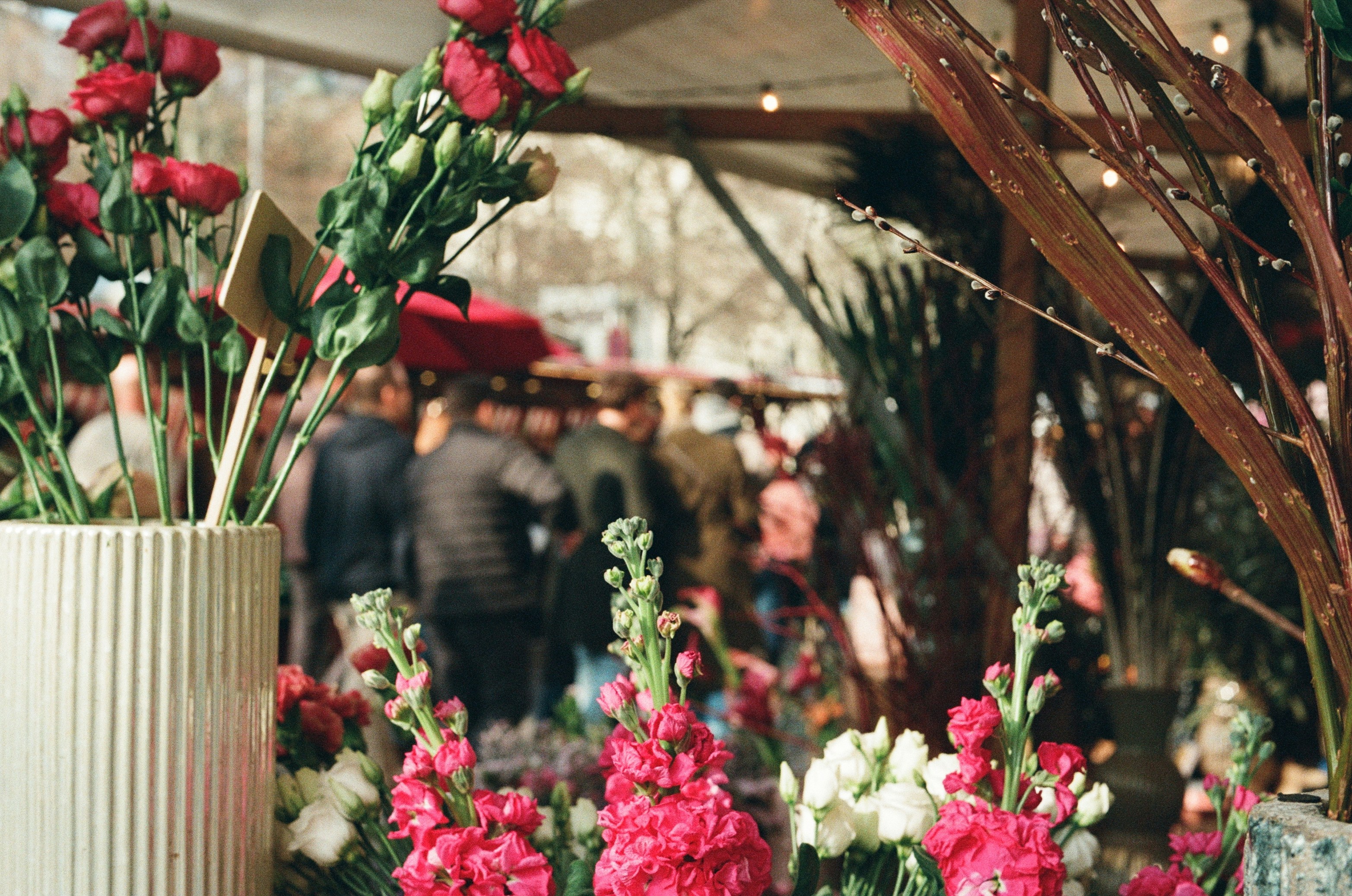 Elle Fleur