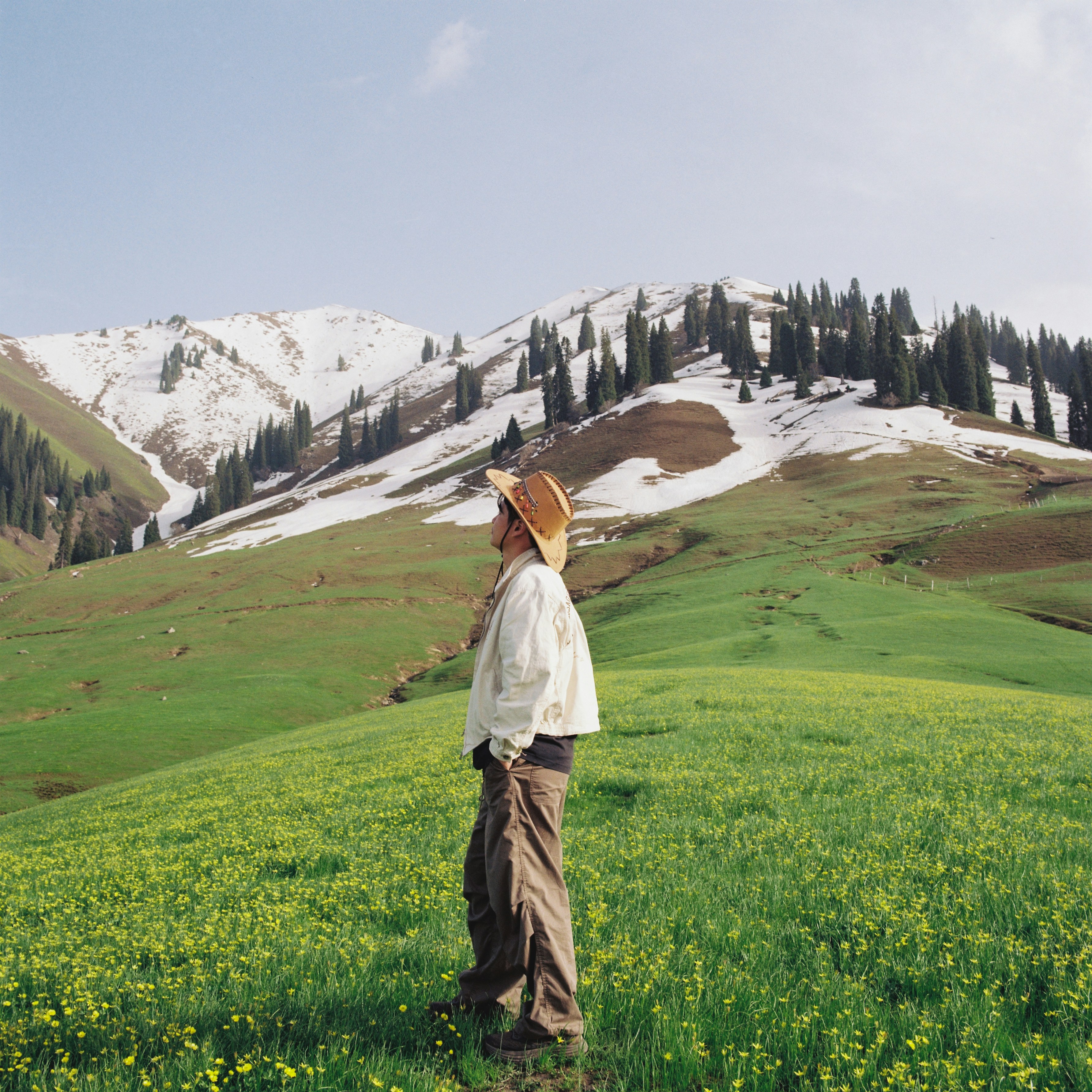 Person in a flowery field looking at snow-capped mountains.
