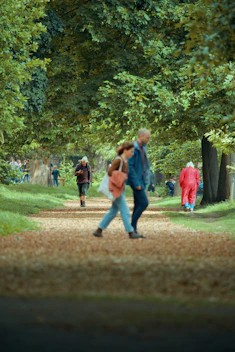People walking on a tree-lined path with fallen leaves