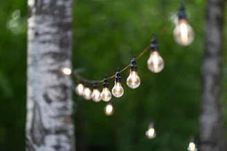 String of illuminated light bulbs hanging between trees outdoors.