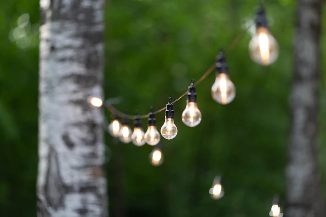 String of illuminated light bulbs hanging between trees outdoors.