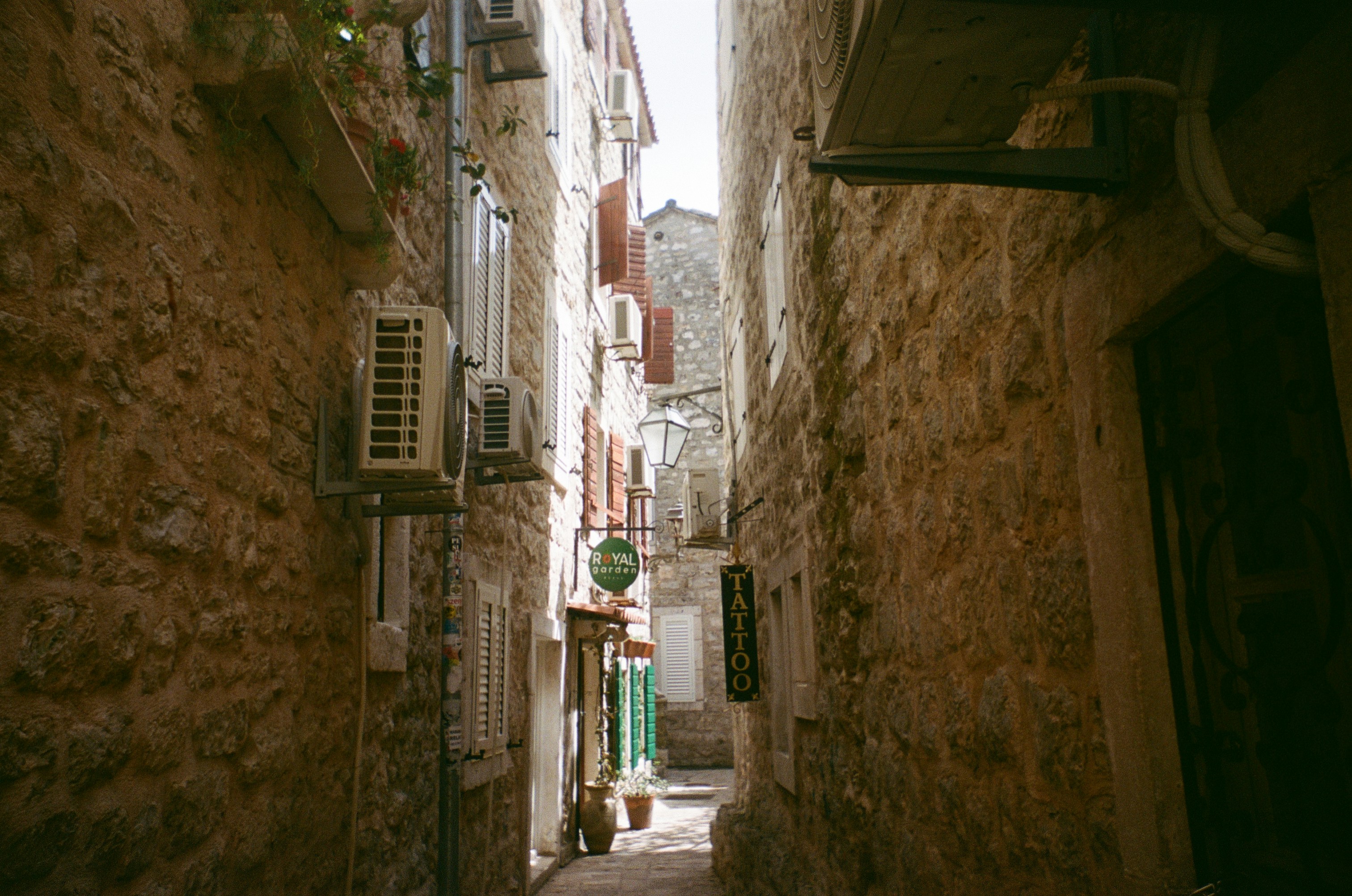 Photo by shalva_dekanozishvili