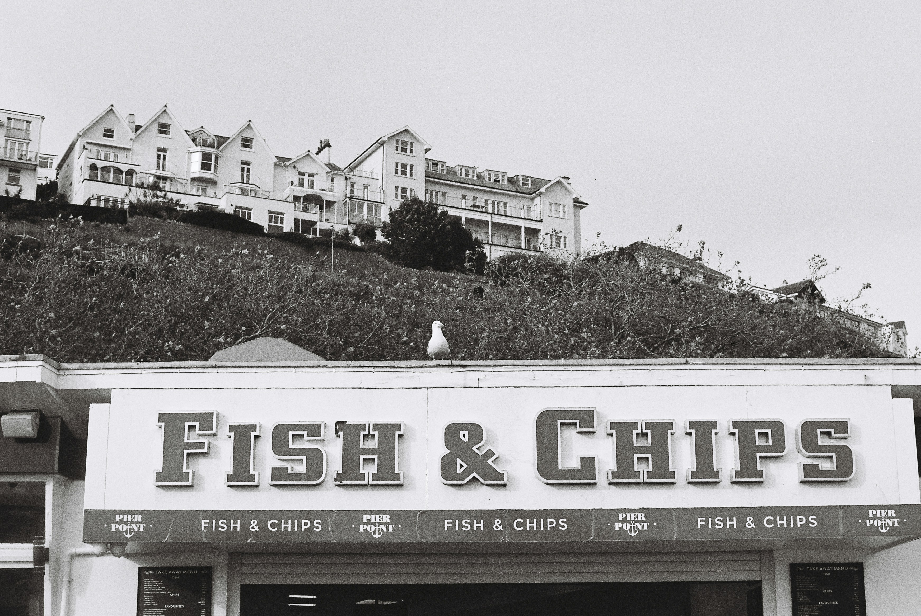 Seagull on a fish and chips shop with hillside buildings.