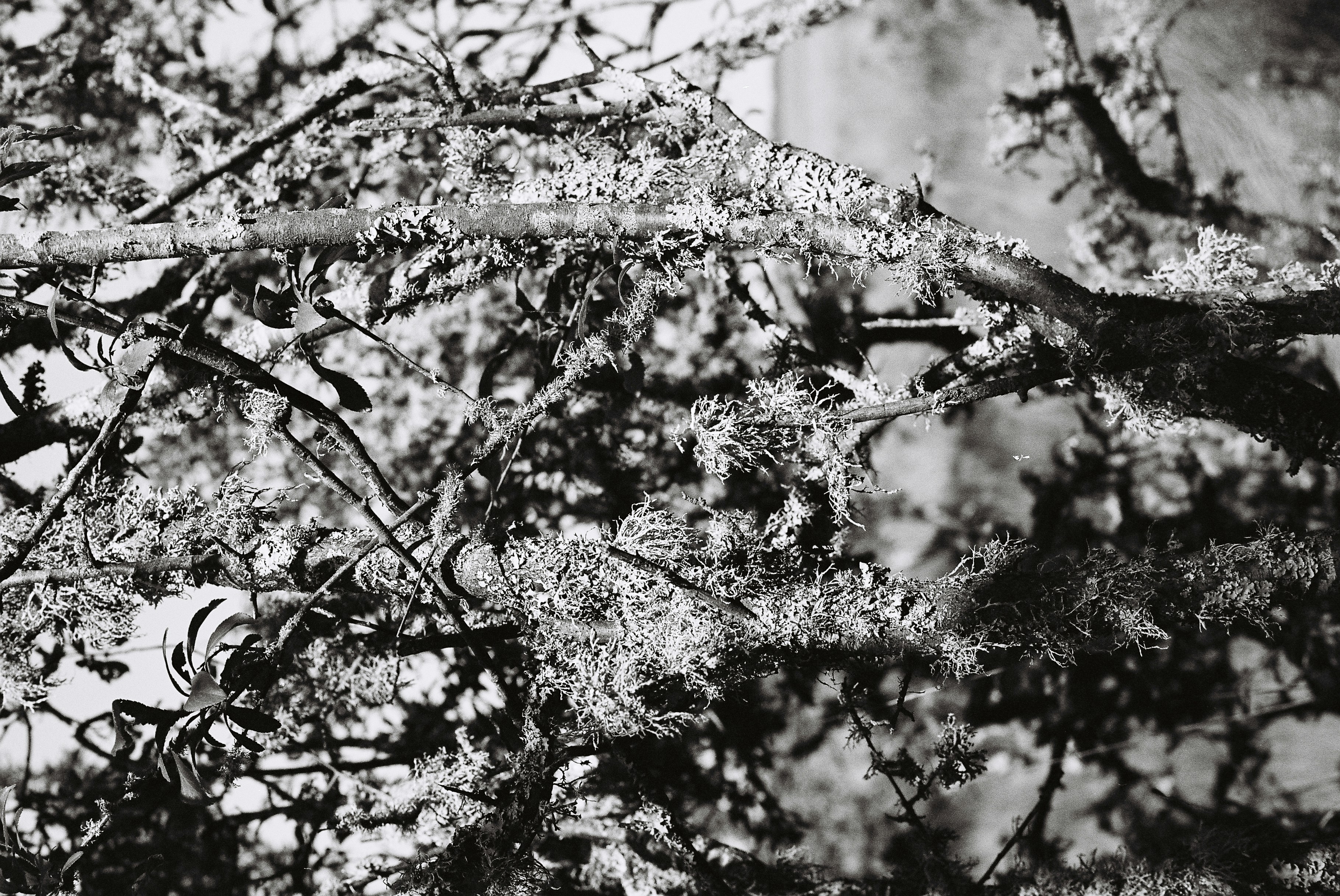 Photo by tanyabarrow