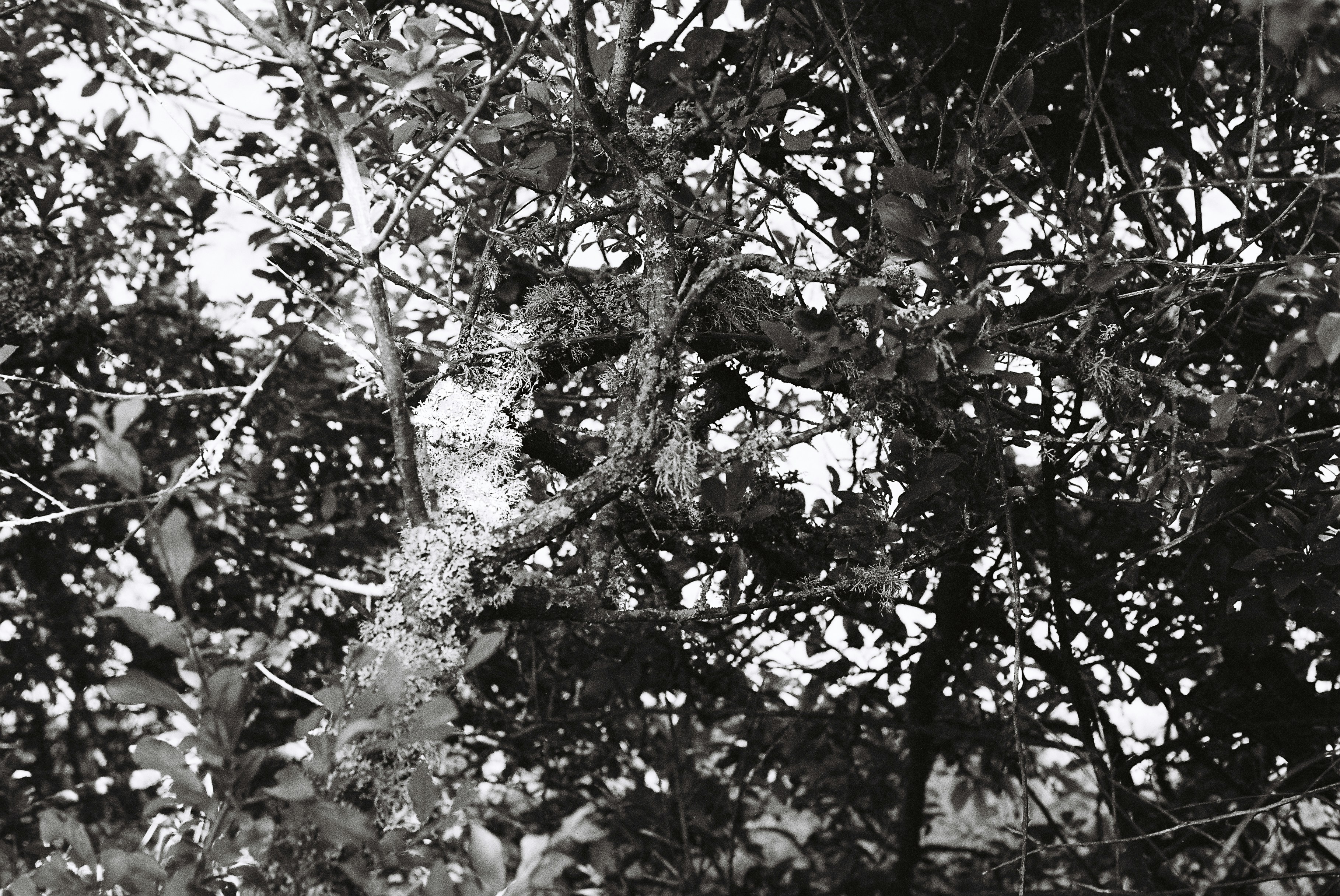 Photo by tanyabarrow