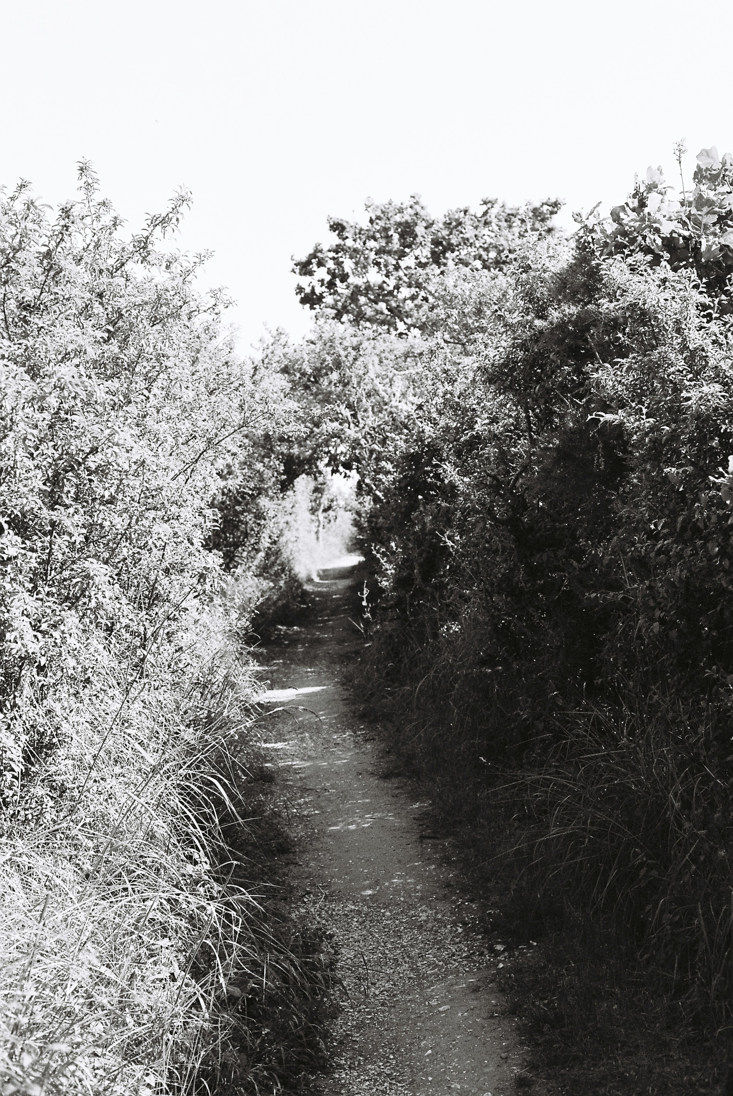 Photo by tanyabarrow