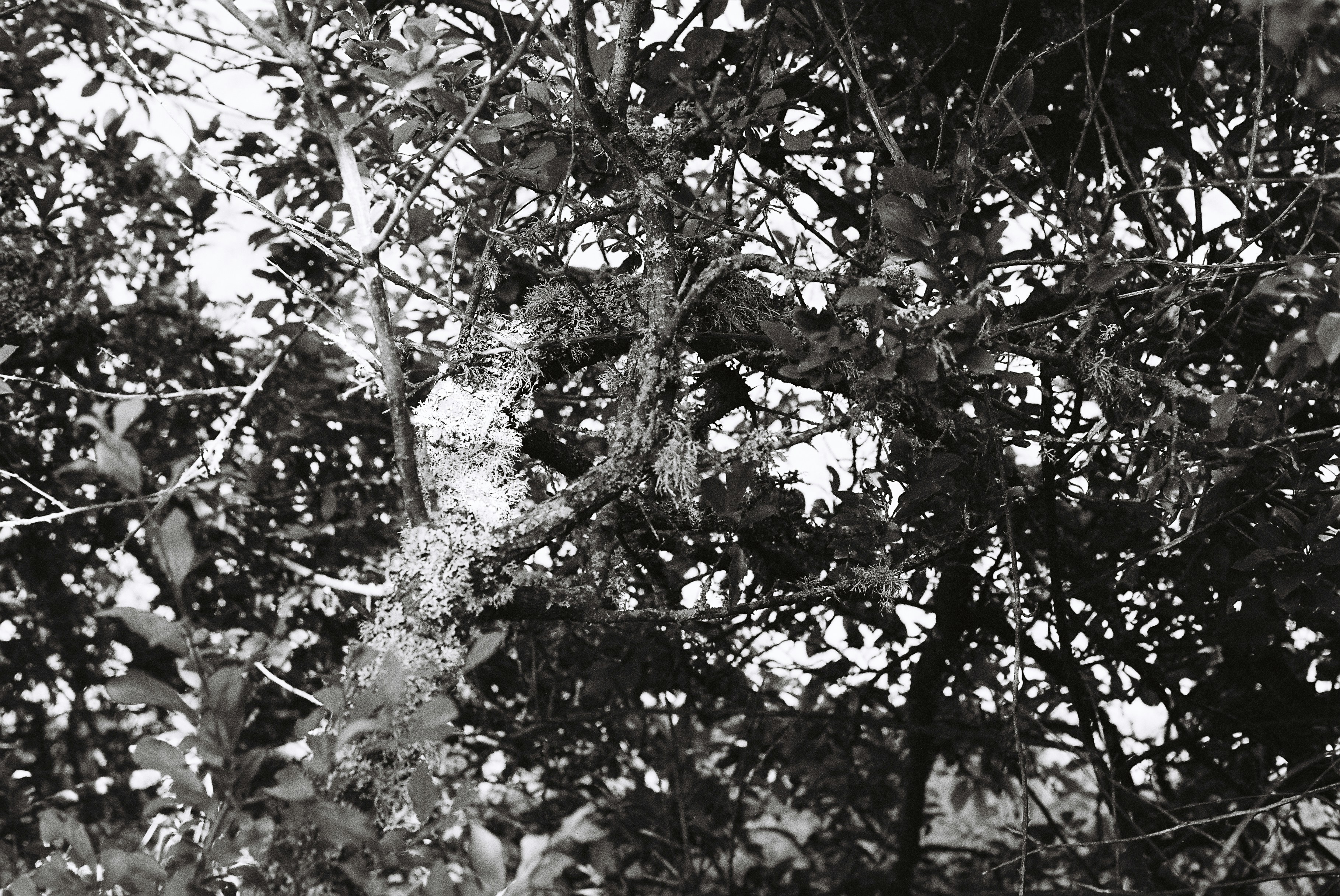 Photo by tanyabarrow