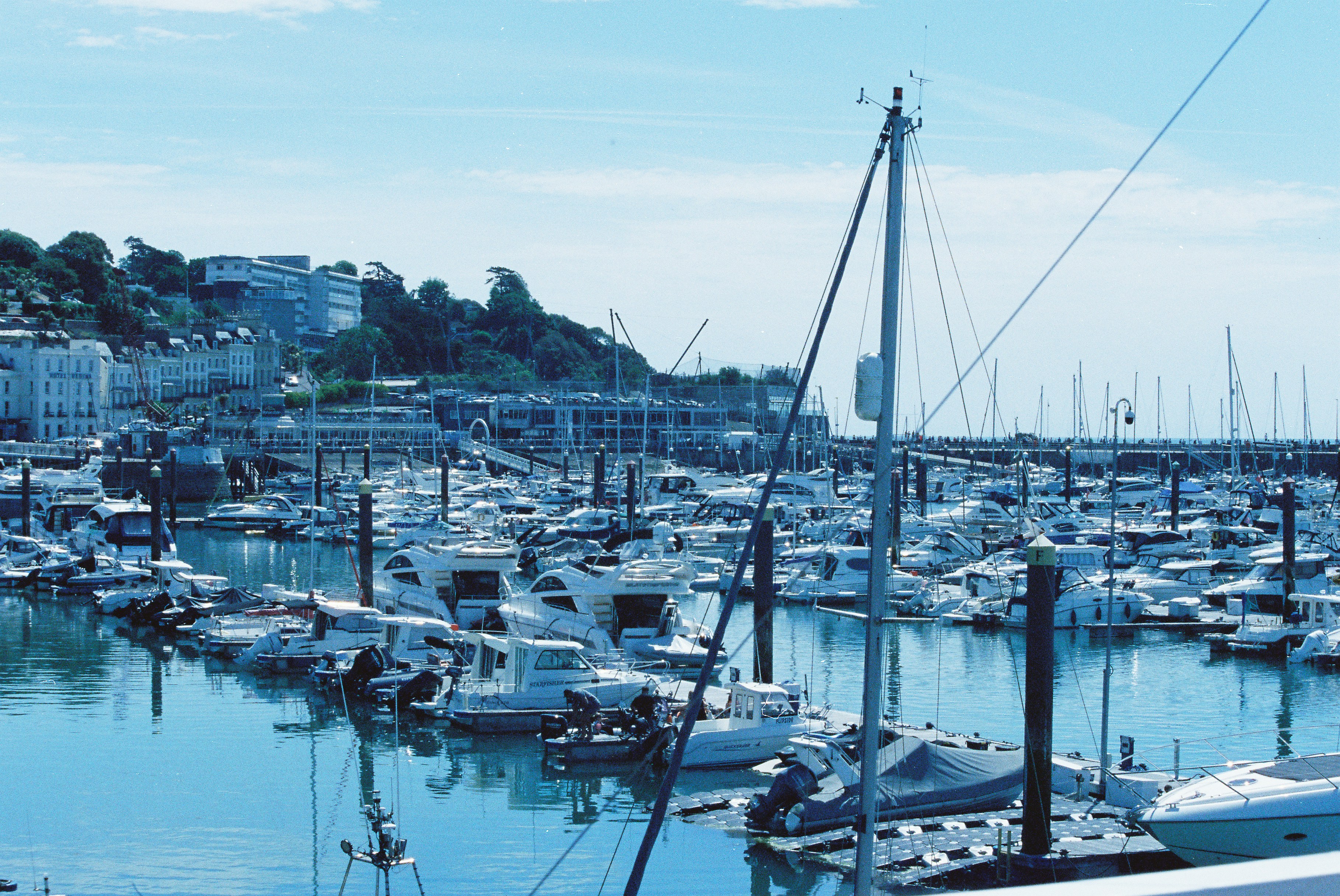 Busy marina full of berthed yachts
