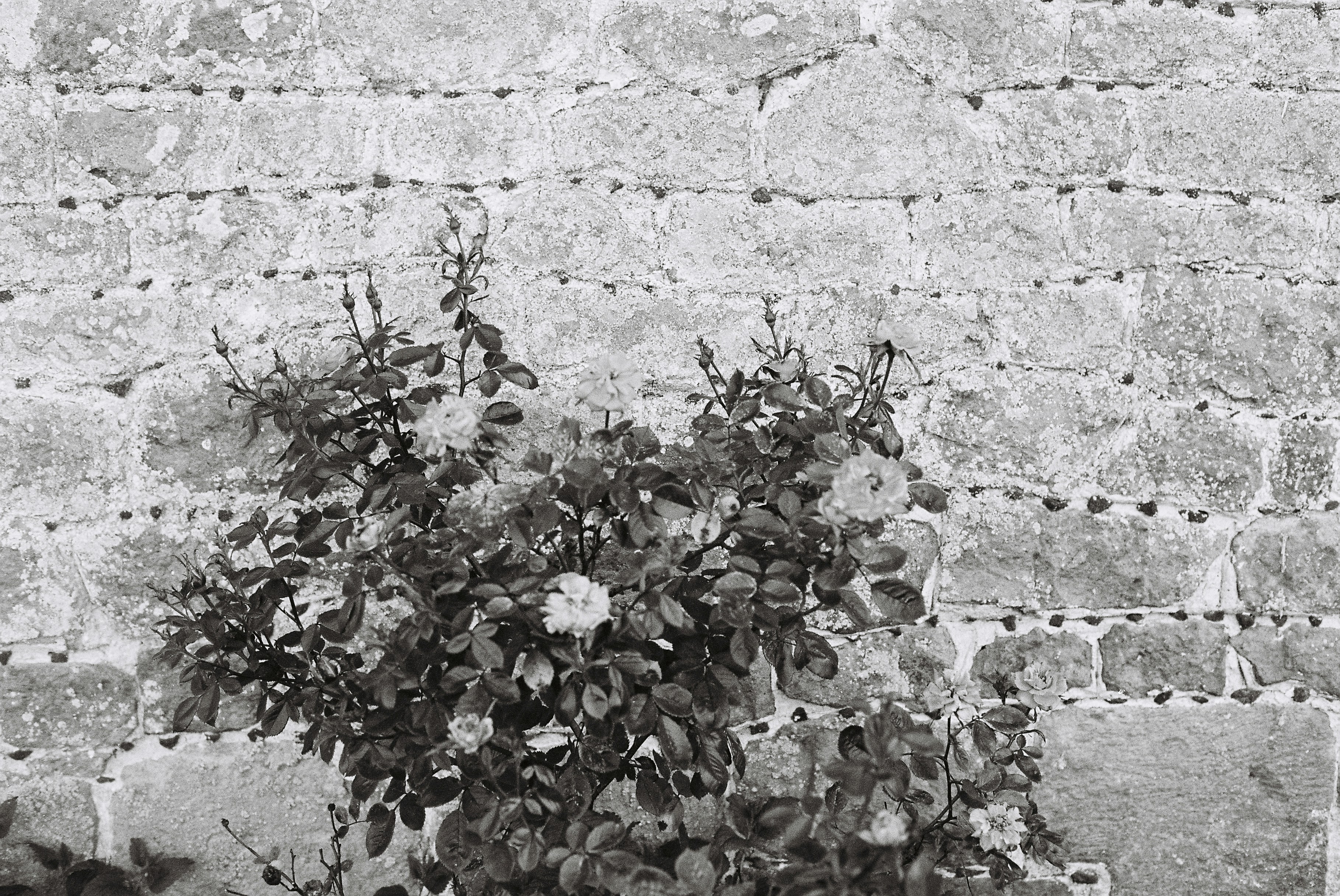 Photo by tanyabarrow