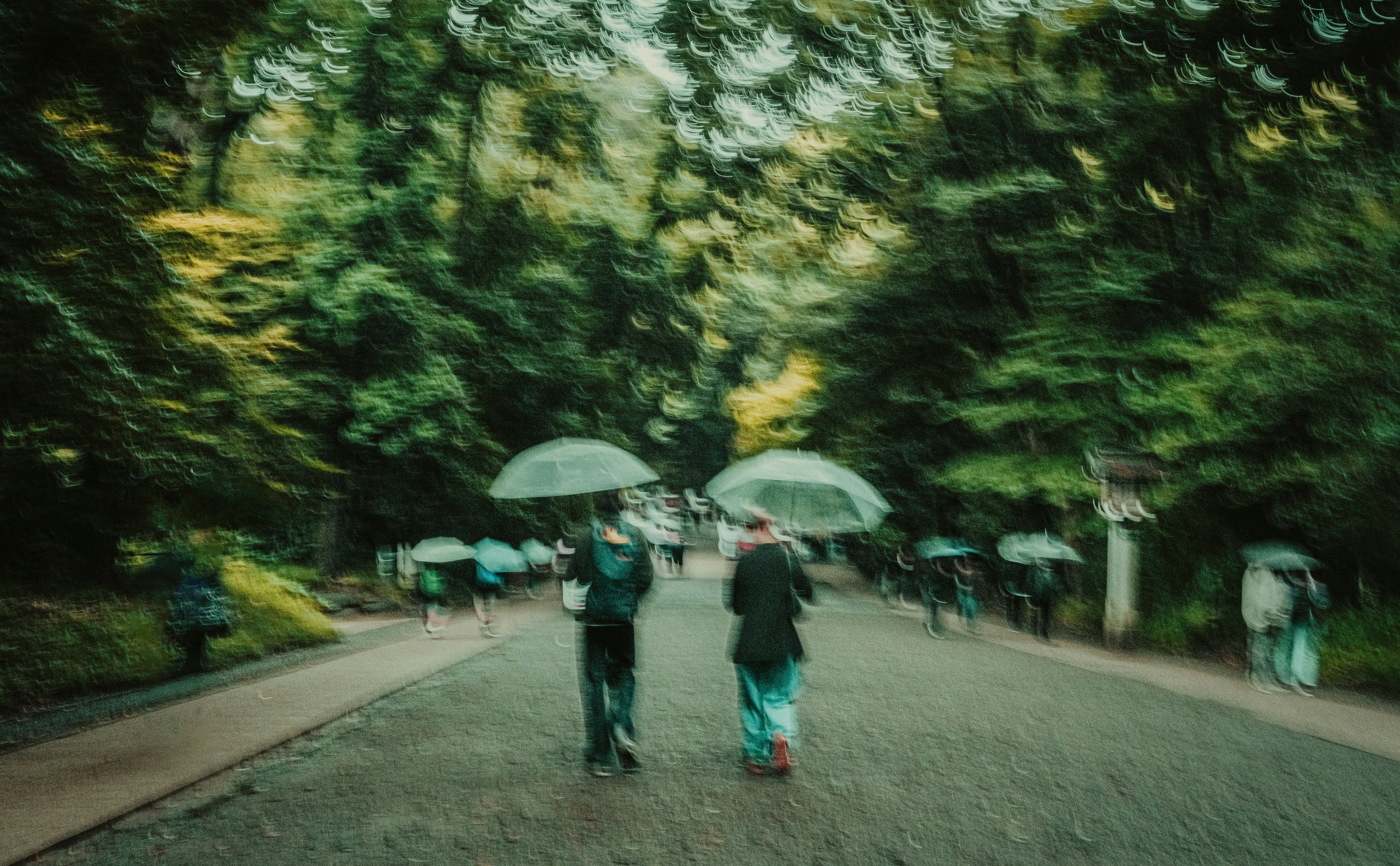 Photo by aysenuryvz
