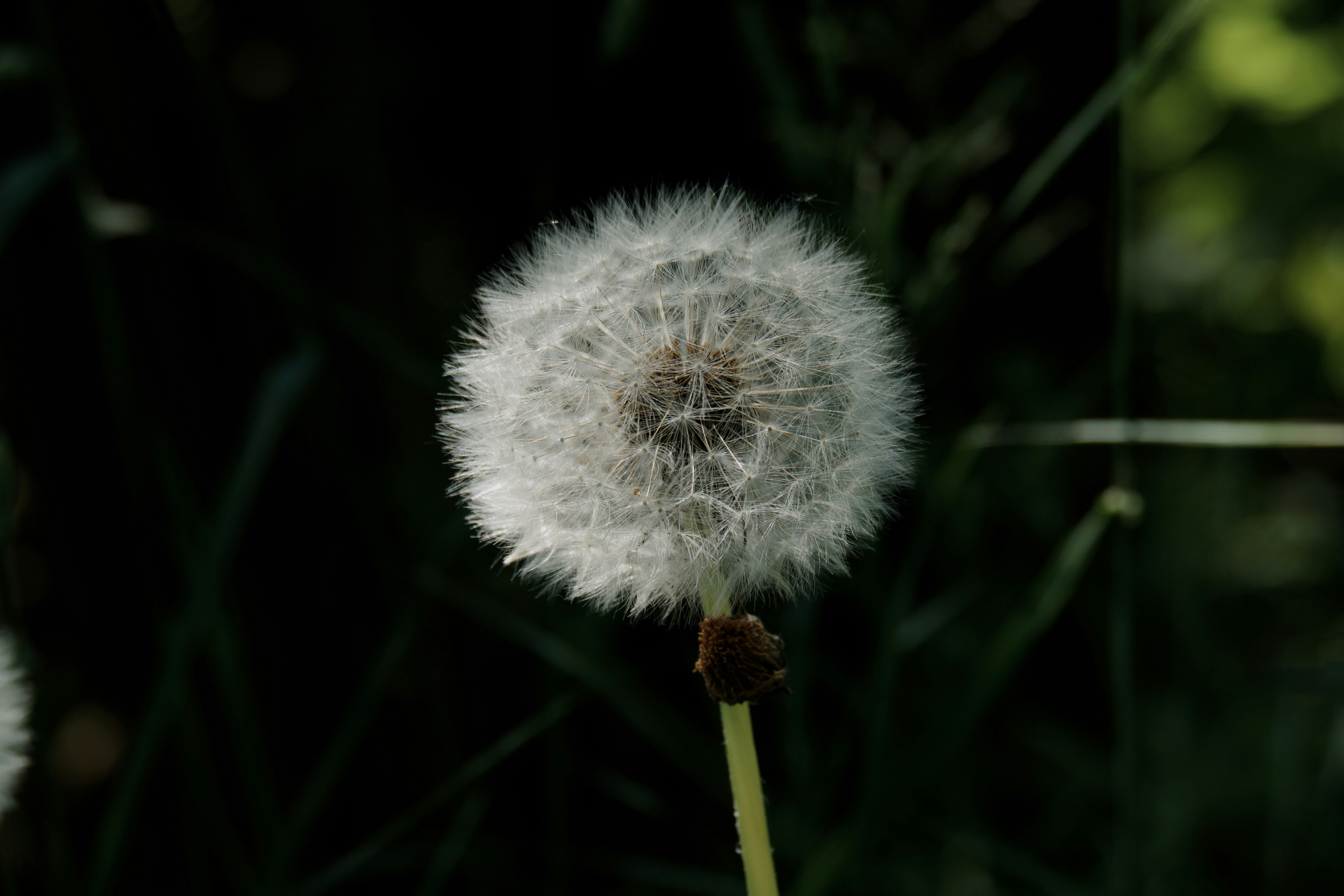 Photo by lassejulius
