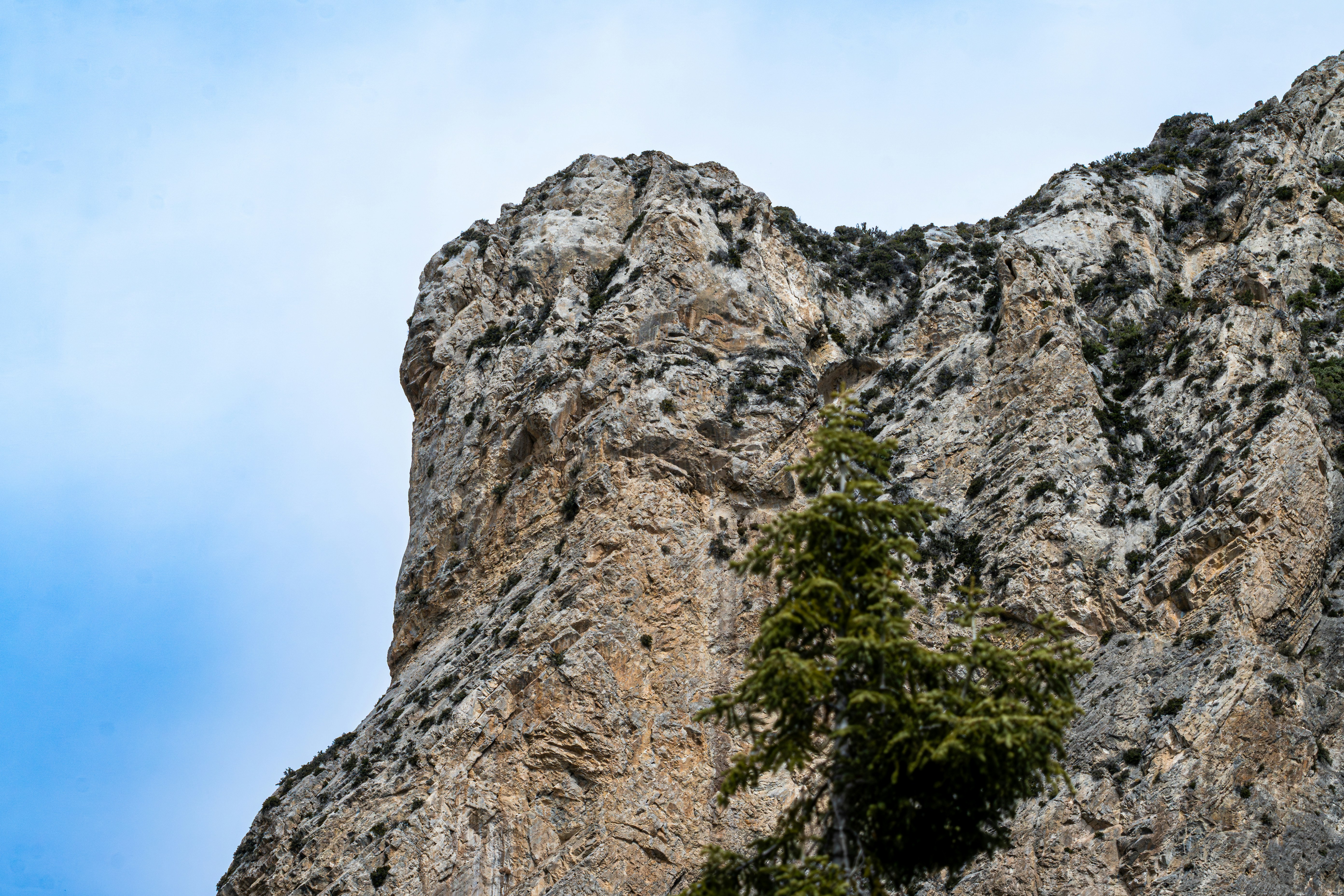 Rugged rock cliff with green foliage against a blue sky.
