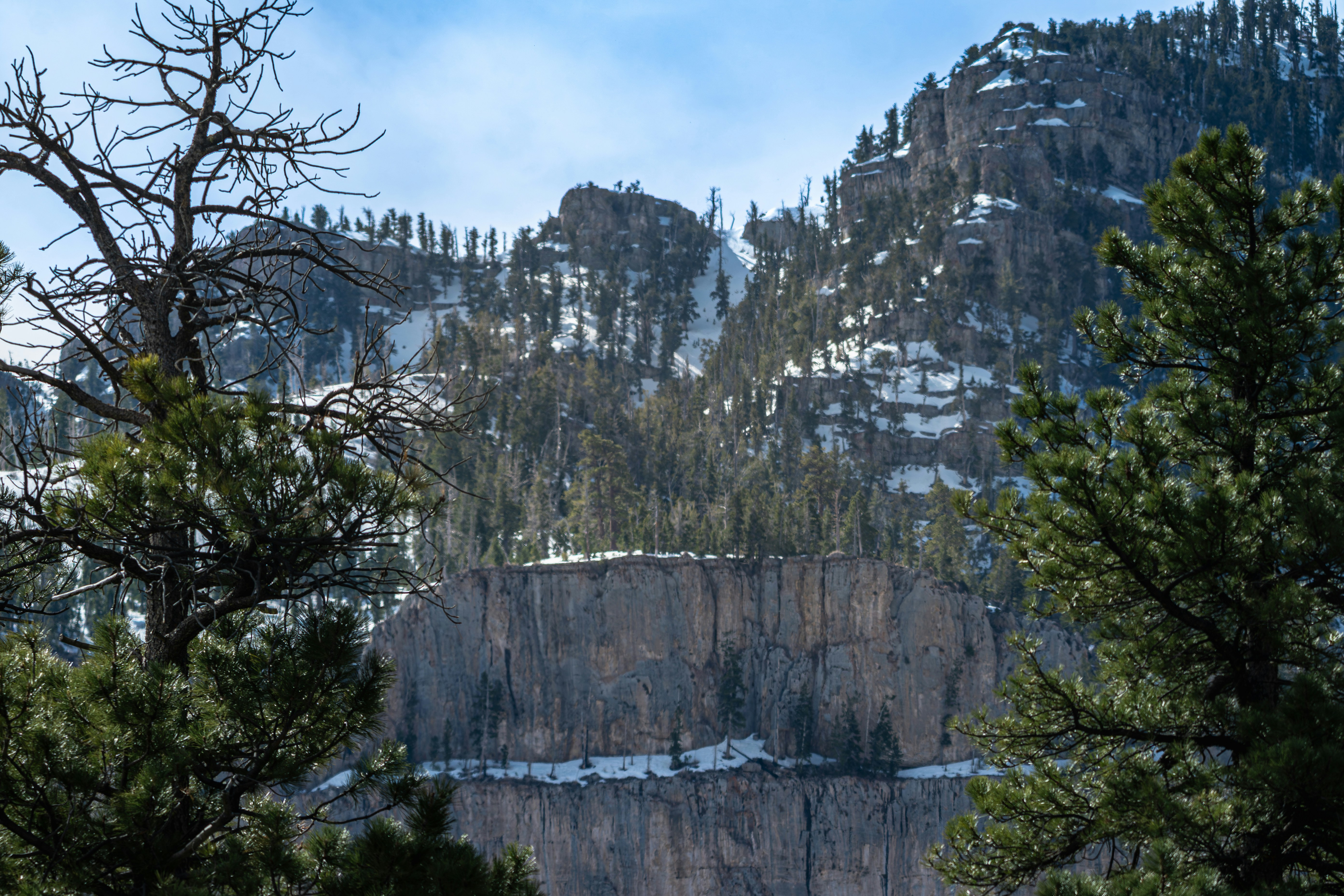Snowy mountains with pine trees and a prominent rock cliff.