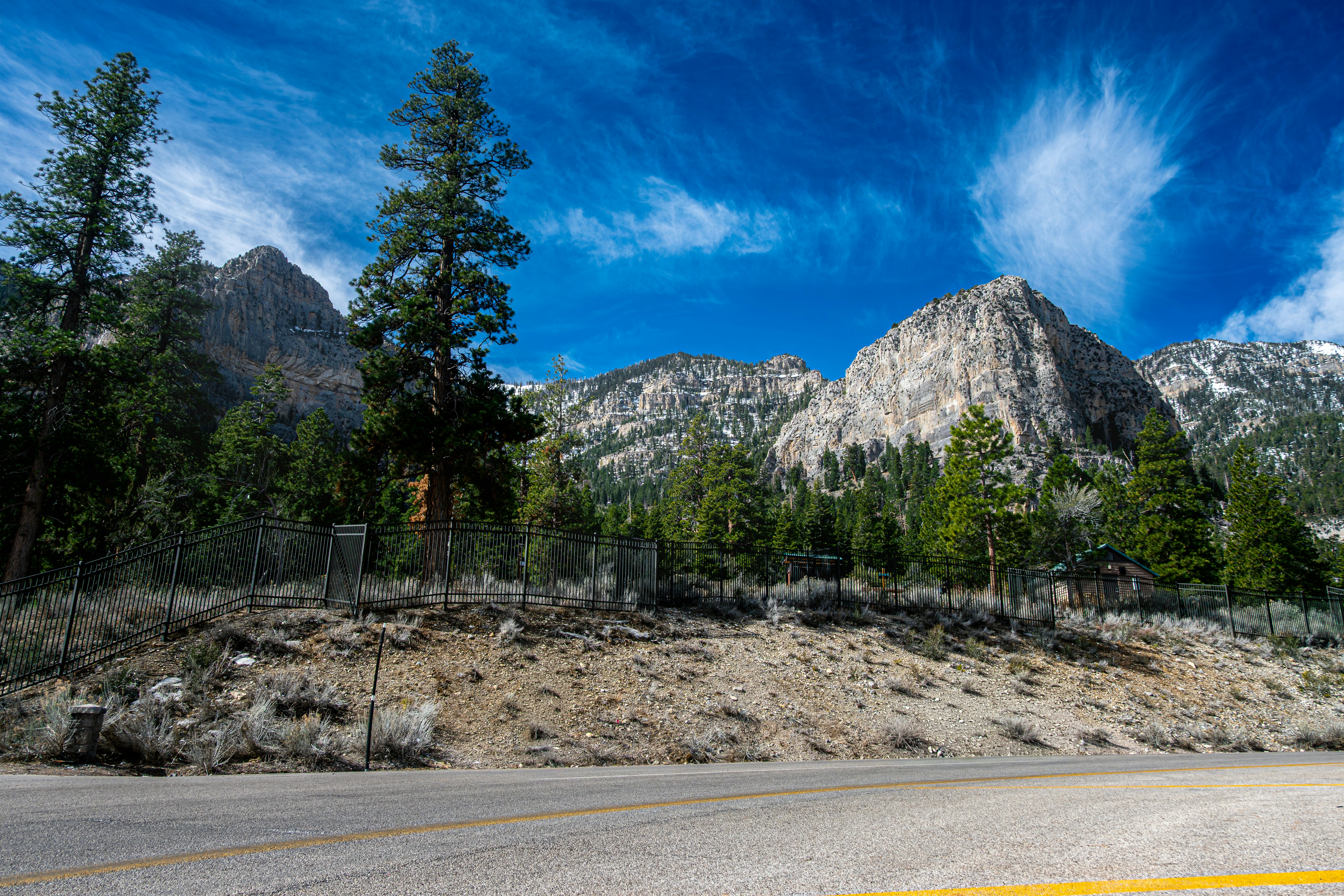 Mountains, pine trees, and a road under a blue sky.