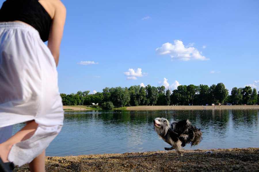 A dog jumping up toward a person by a lake, the exact greeting behavior this article trains out