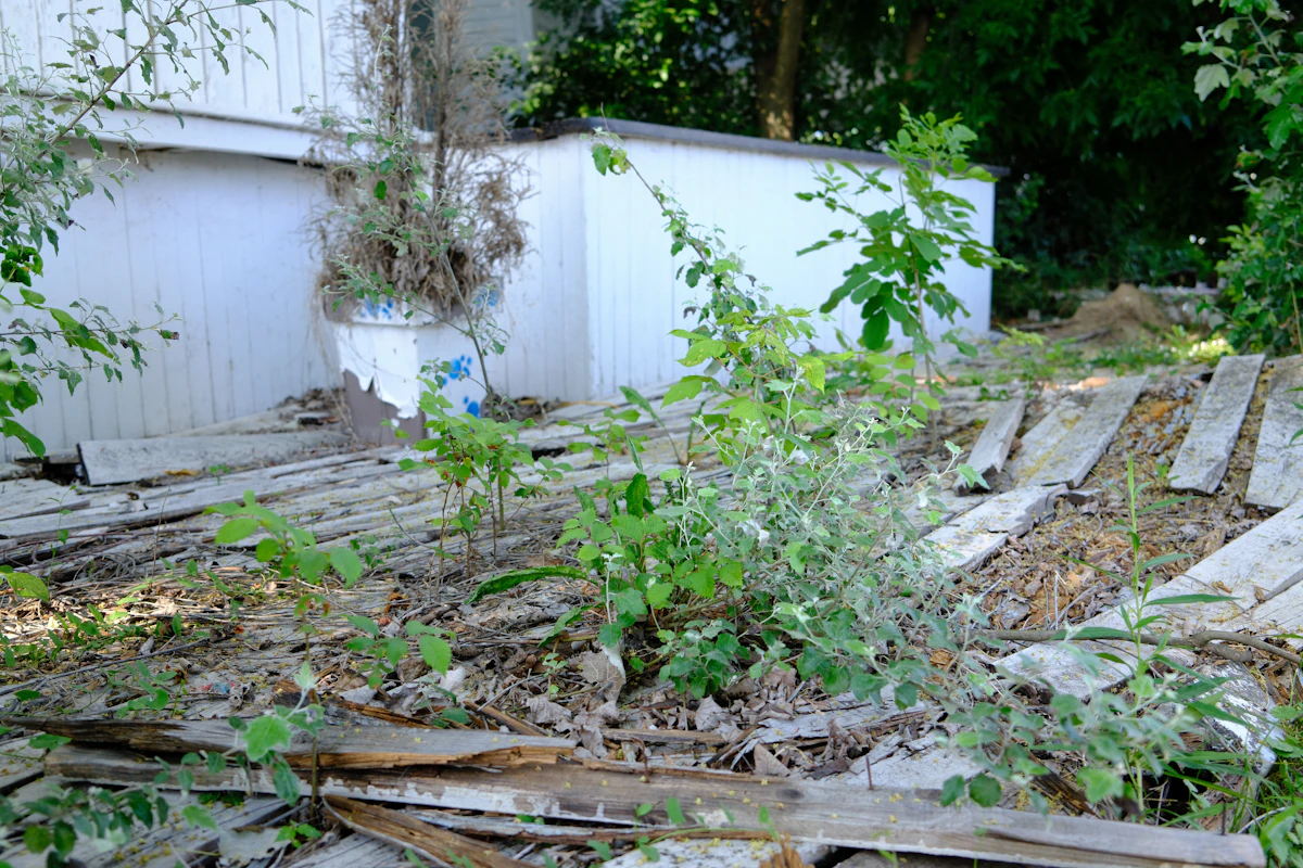 Preston backyard: eleven years of neglect out, lawn, beds and a sitting area in — nine working days — before